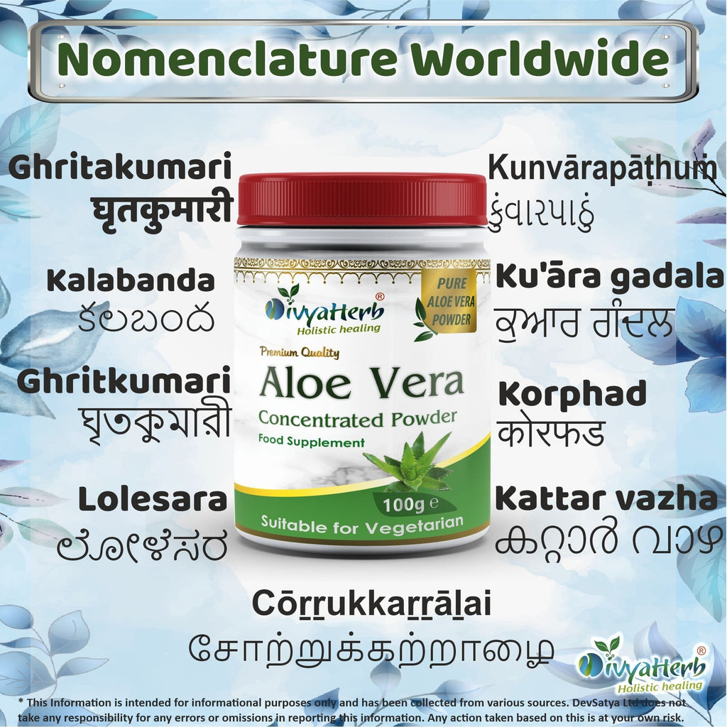 DivyaHerb Aloevera Powder 100 gram - Healthy-Looking Skin Support-3