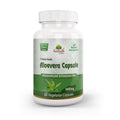 Aushadh Aloe vera Capsules (Ghritkumari, Kumari) Digestive Comfort & Skin Support - Vegan, Gluten Free, Non-GMO, 60 Capsules-0