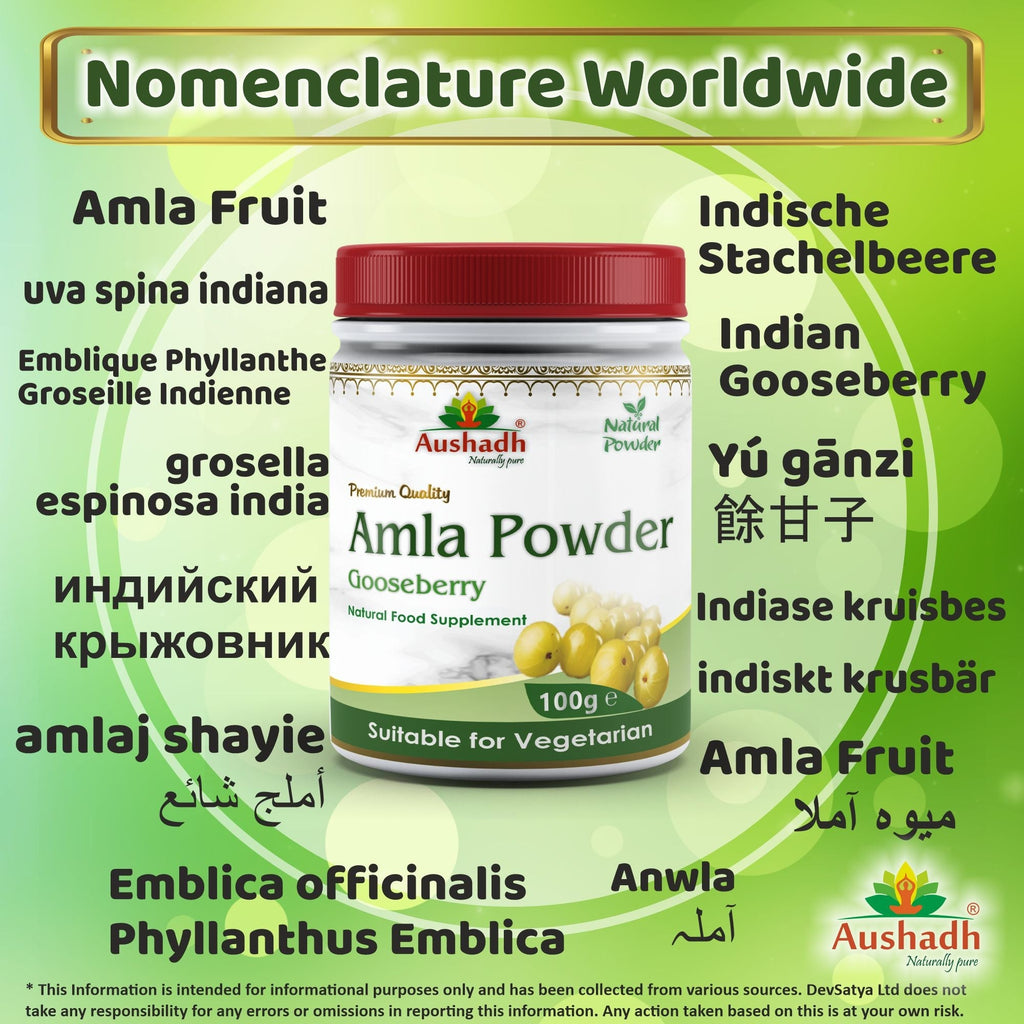 Aushadh Amla (Indian Gooseberry) Powder 100 gram - Hair & Scalp Support-2