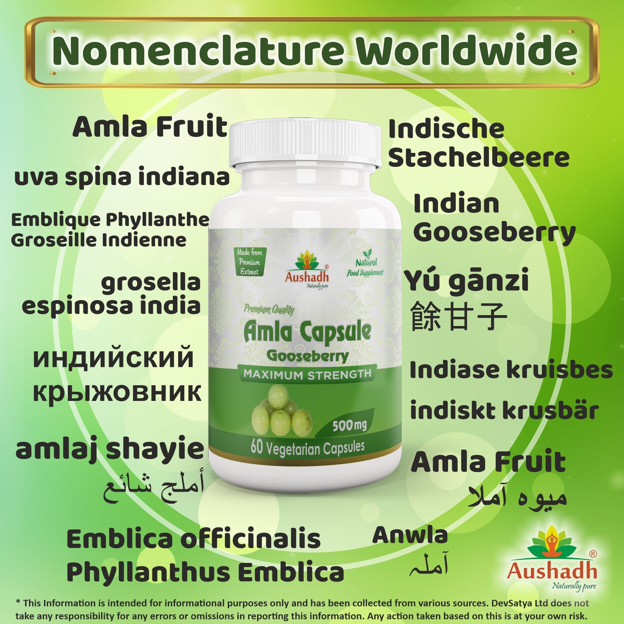 Aushadh Amla Capsules (Indian Gooseberry, Amalaki) Antioxidant Wellness Support - Vegan, Gluten Free, Non-GMO, 60 Capsules-2