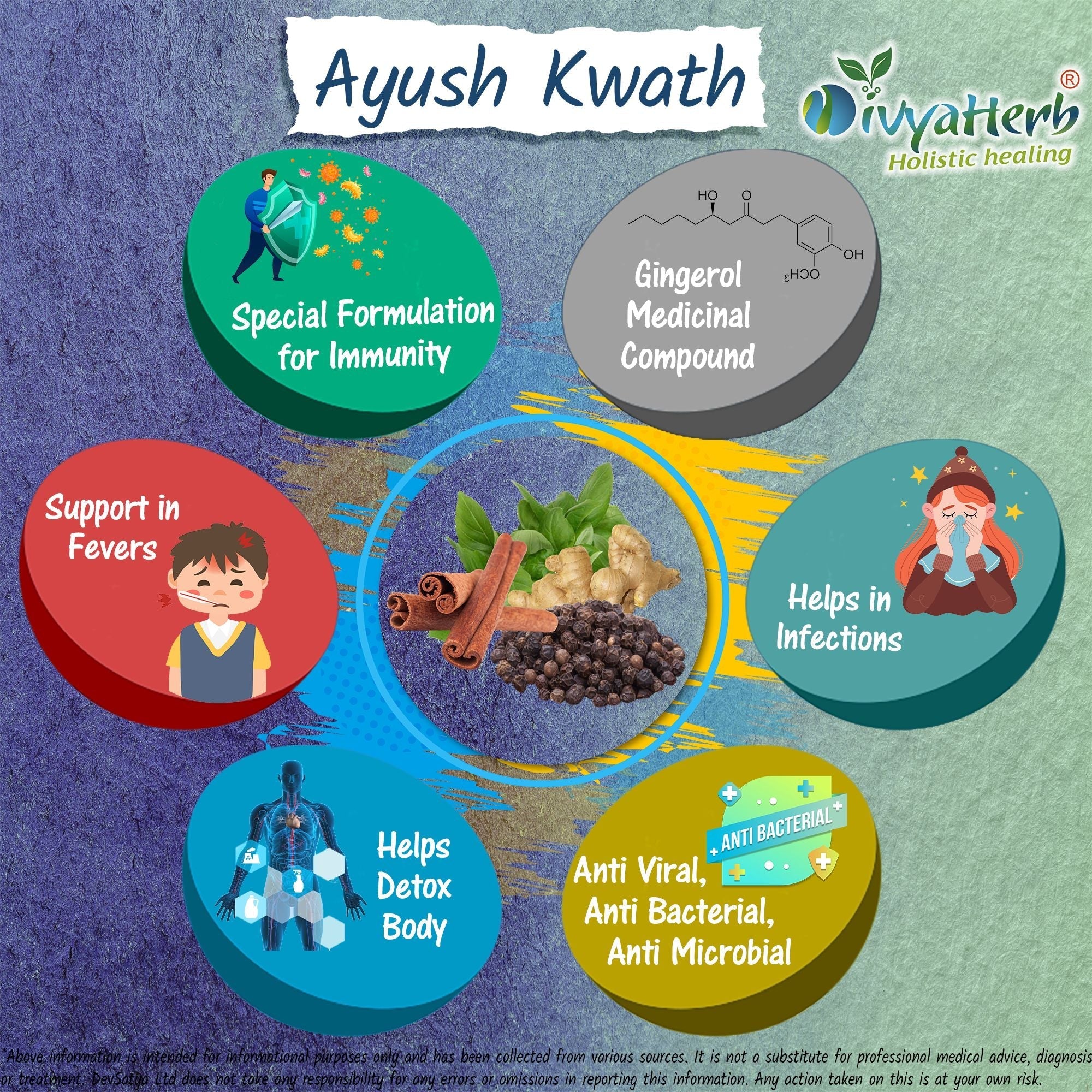 DivyaHerb Ayush Kwath Powder 100 gram - Seasonal Wellness Support-3