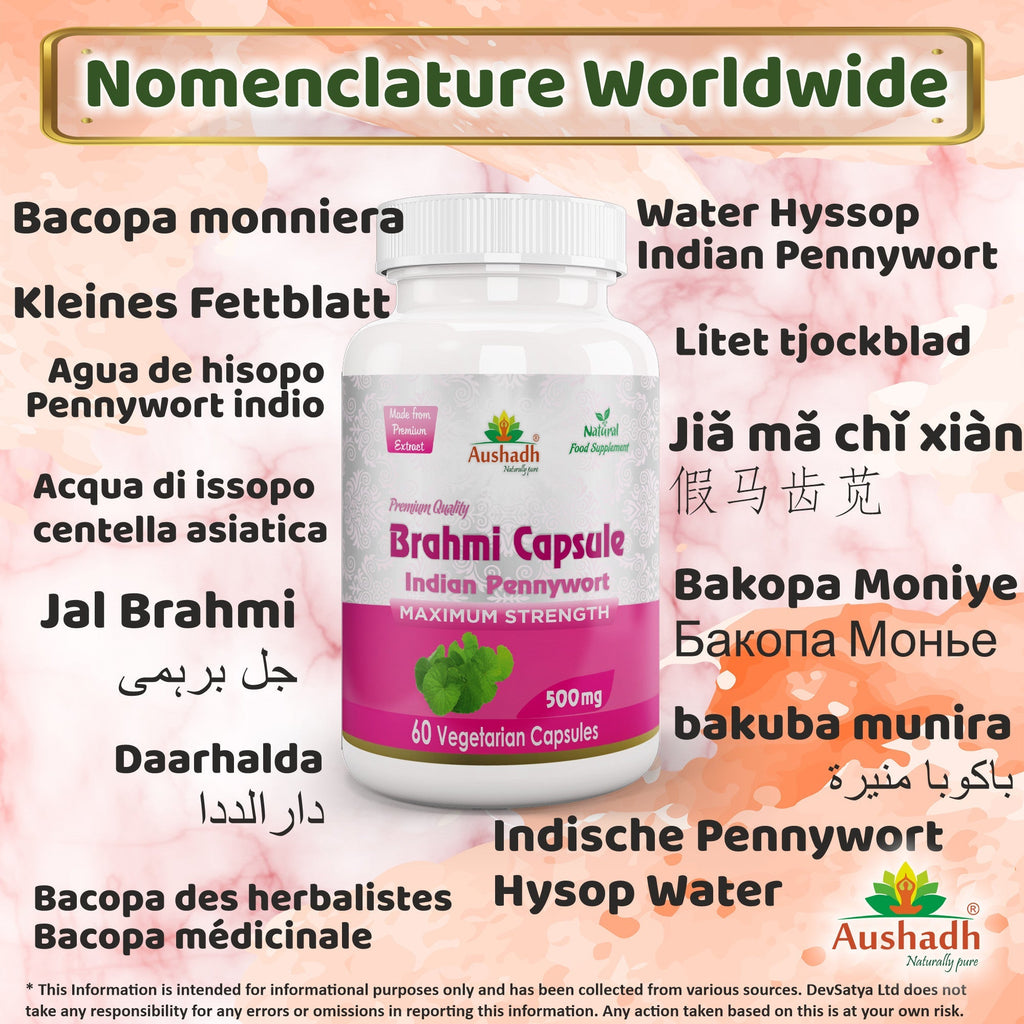 Aushadh Brahmi Capsules (Bacopa, Water Hyssop) Memory & Focus Support - Vegan, Gluten Free, Non-GMO, 60 Capsules-2