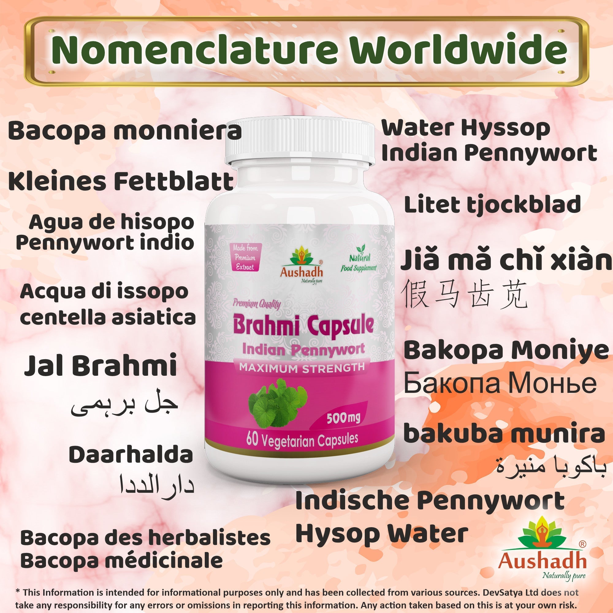 Aushadh Brahmi Capsules (Bacopa, Water Hyssop) Memory & Focus Support - Vegan, Gluten Free, Non-GMO, 60 Capsules-2