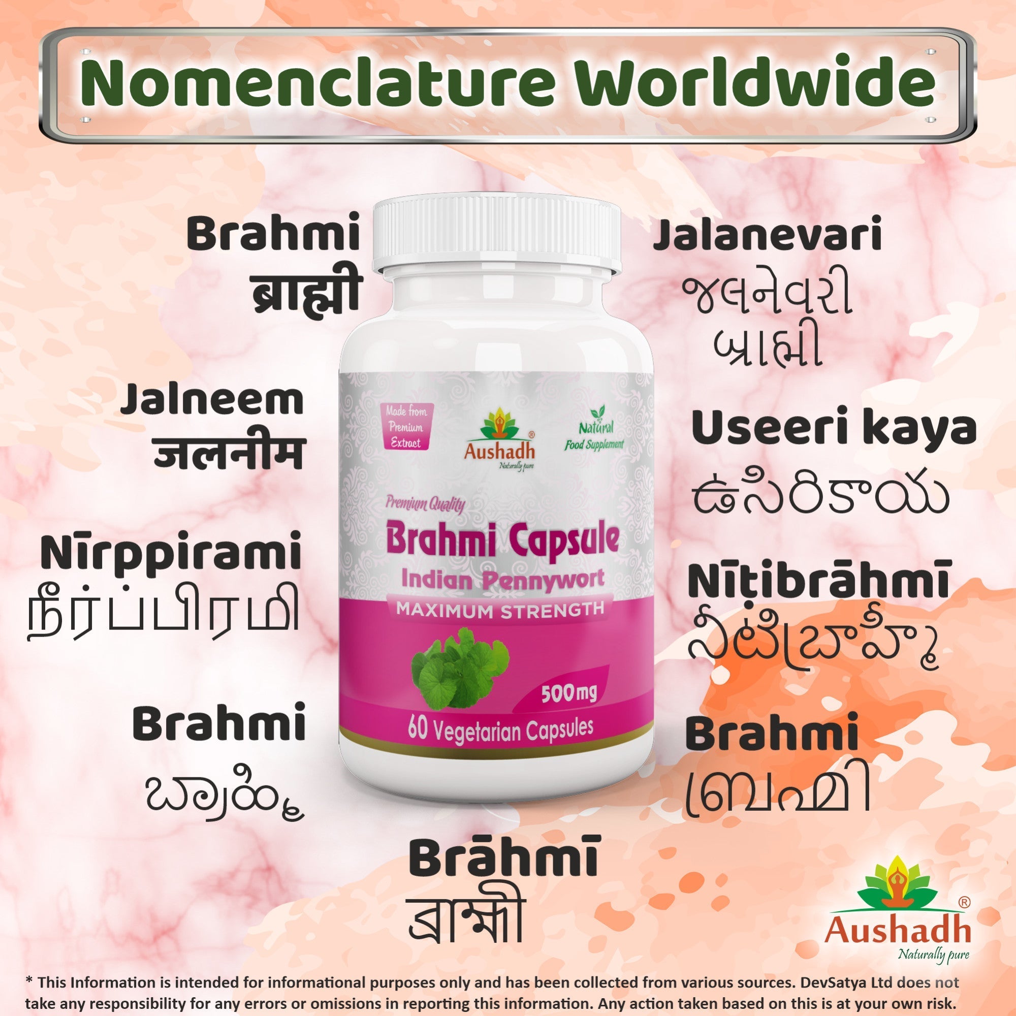 Aushadh Brahmi Capsules (Bacopa, Water Hyssop) Memory & Focus Support - Vegan, Gluten Free, Non-GMO, 60 Capsules-3