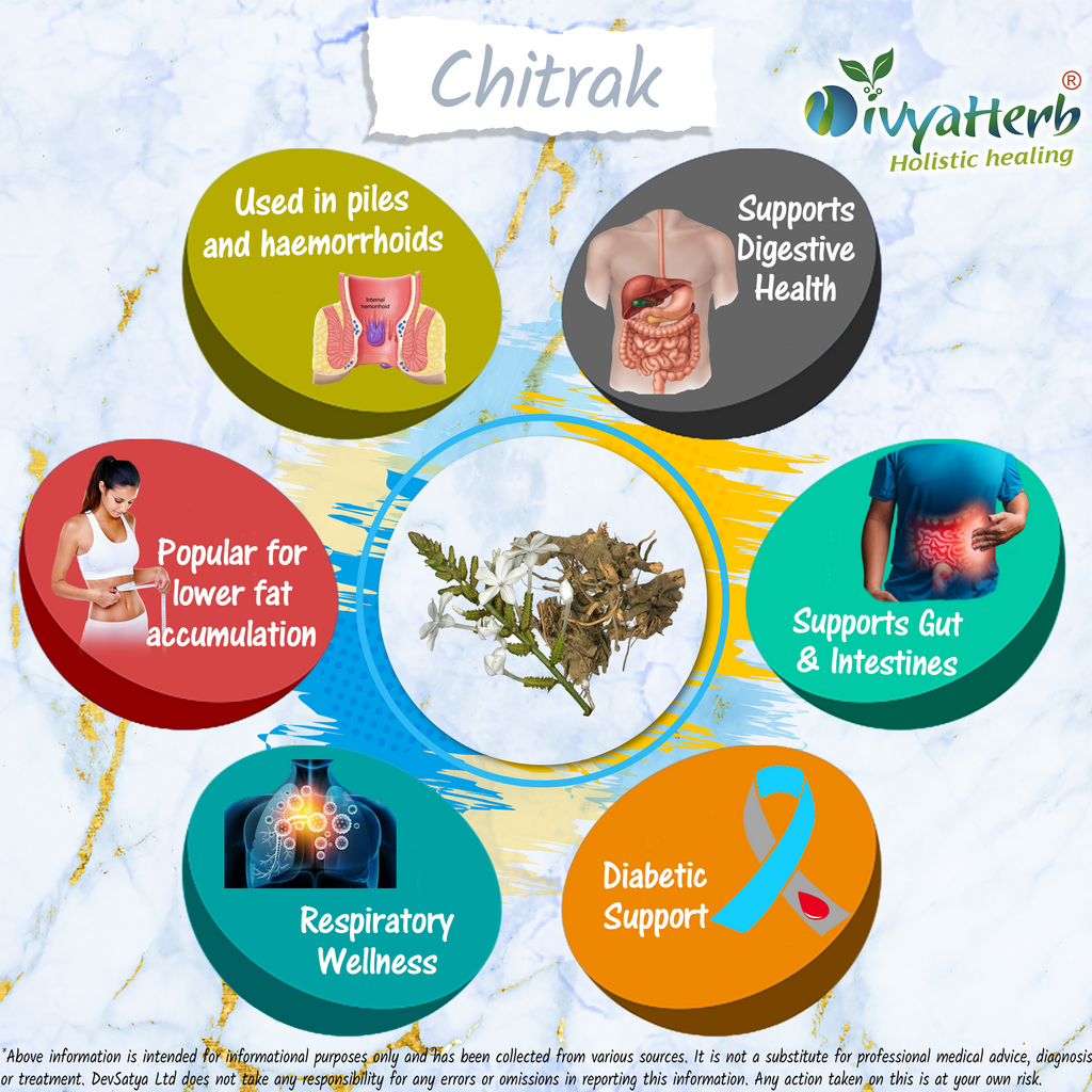 DivyaHerb Chitrak Root Powder 100 gram - Daily Wellness Support-3