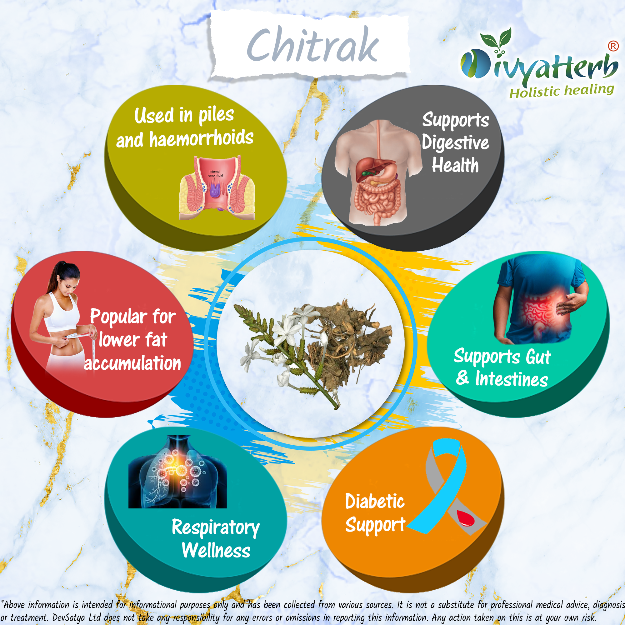 DivyaHerb Chitrak Root Powder 100 gram - Daily Wellness Support-3
