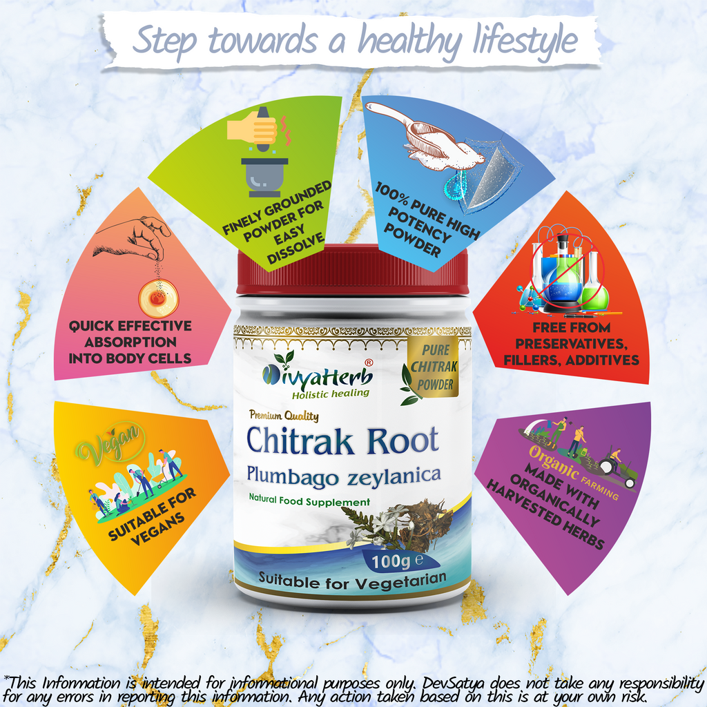 DivyaHerb Chitrak Root Powder 100 gram - Daily Wellness Support-2