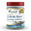 DivyaHerb Chitrak Root Powder 100 gram - Daily Wellness Support-0