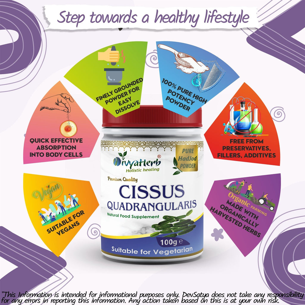 DivyaHerb Cissus Quadrangularis Powder 100 gram - Joint & Mobility Support-4
