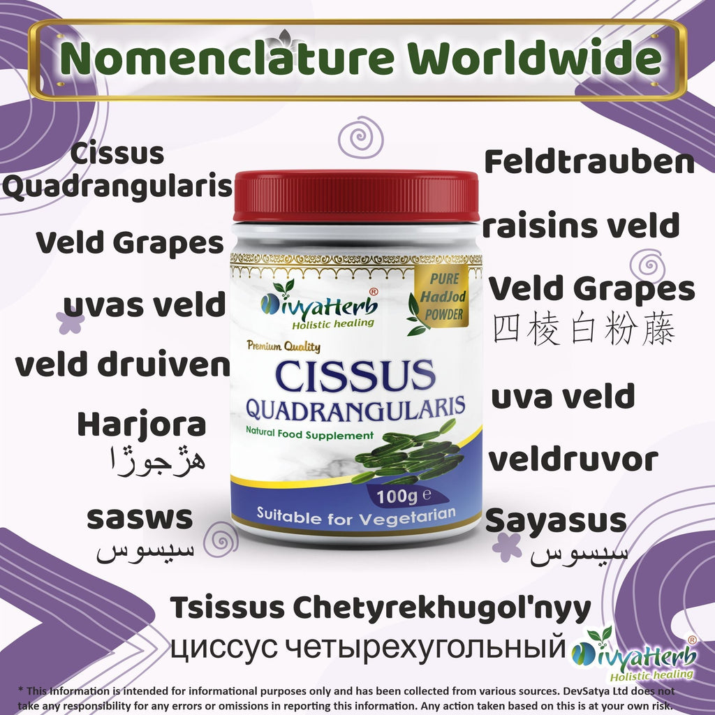 DivyaHerb Cissus Quadrangularis Powder 100 gram - Joint & Mobility Support-2