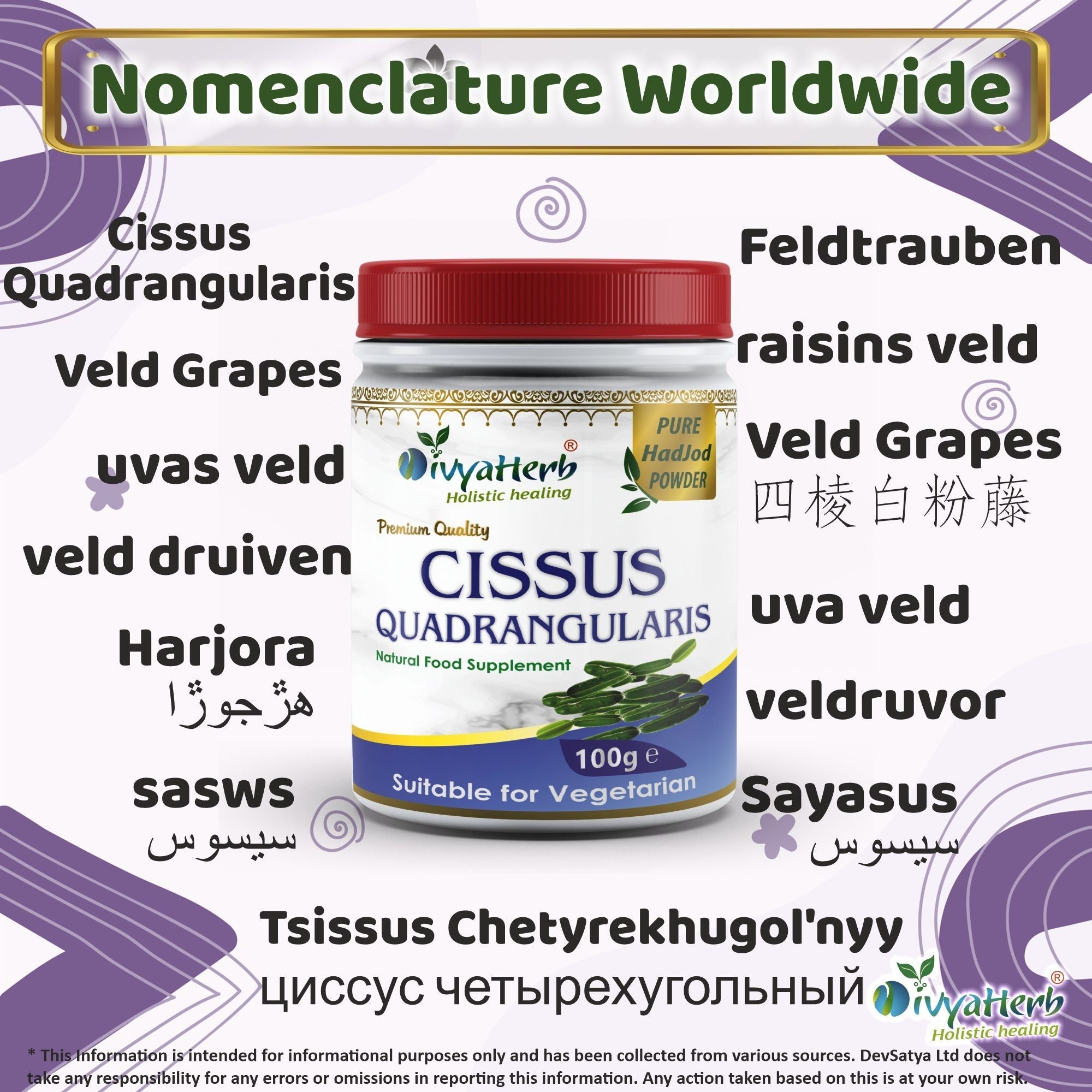 DivyaHerb Cissus Quadrangularis Powder 100 gram - Joint & Mobility Support-2