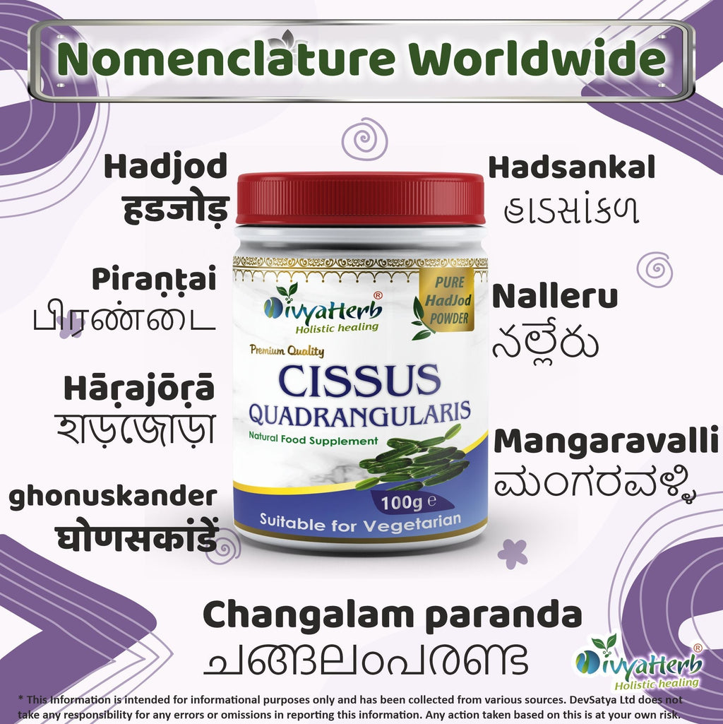 DivyaHerb Cissus Quadrangularis Powder 100 gram - Joint & Mobility Support-3