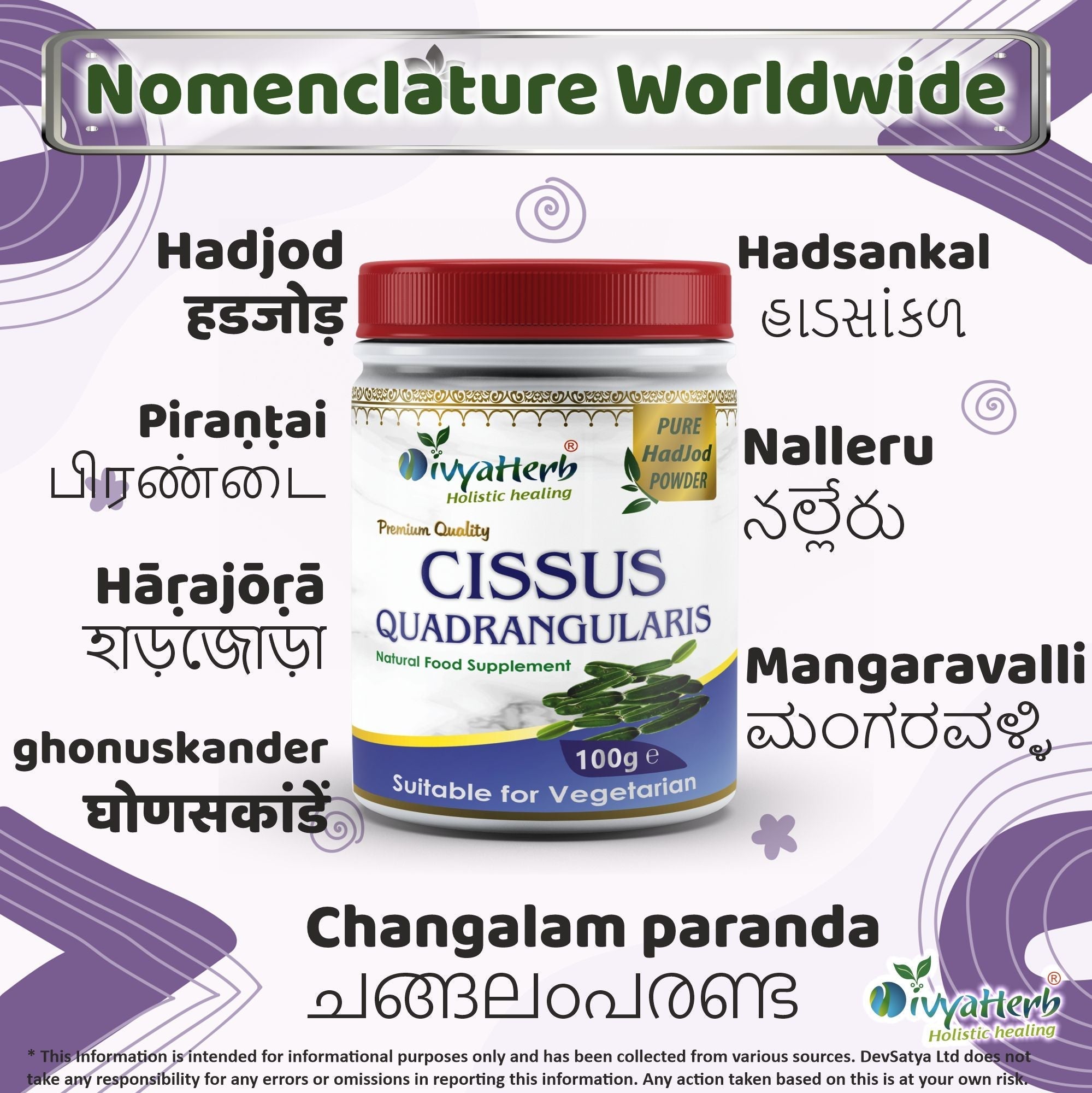 DivyaHerb Cissus Quadrangularis Powder 100 gram - Joint & Mobility Support-3