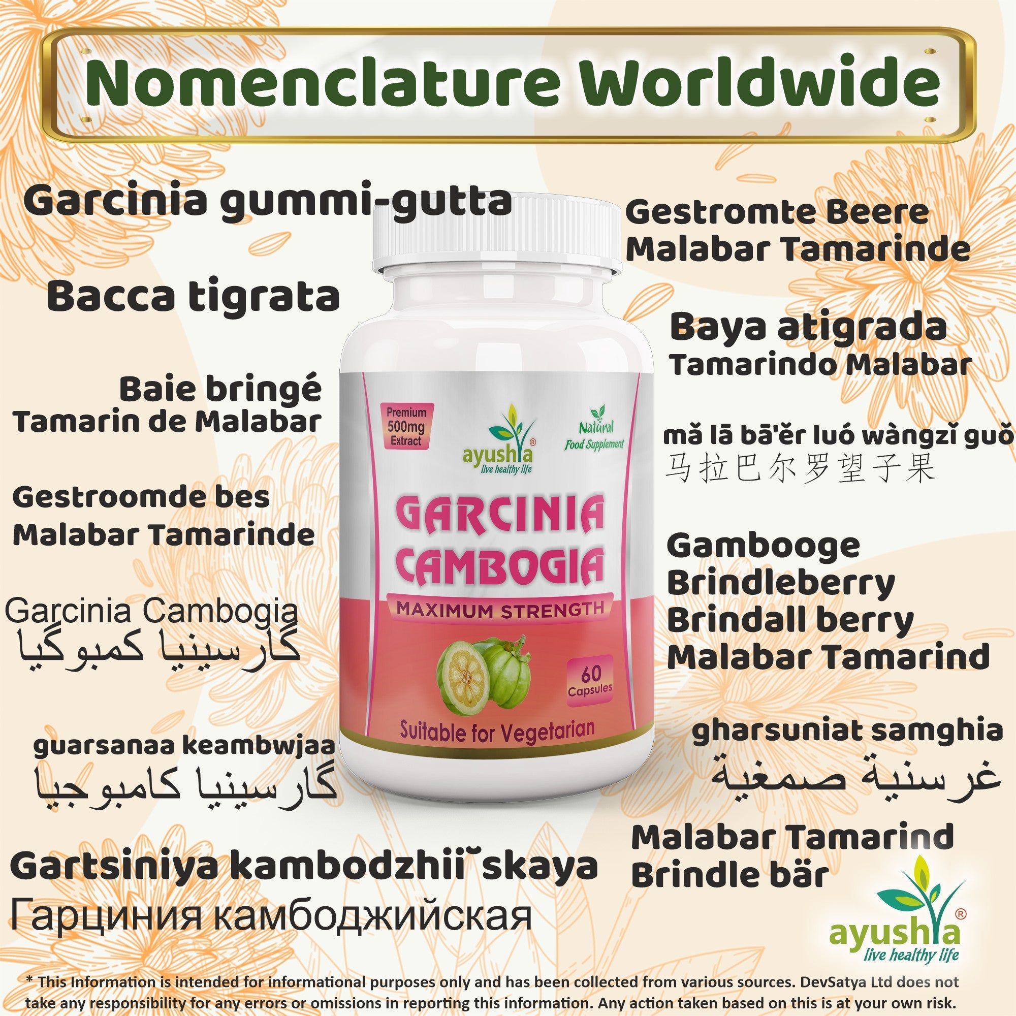 Ayushya Garcinia Cambogia Capsules (Malabar Tamarind) Healthy Weight Support - Vegan, Gluten Free, Non-GMO, 60 Capsules-2