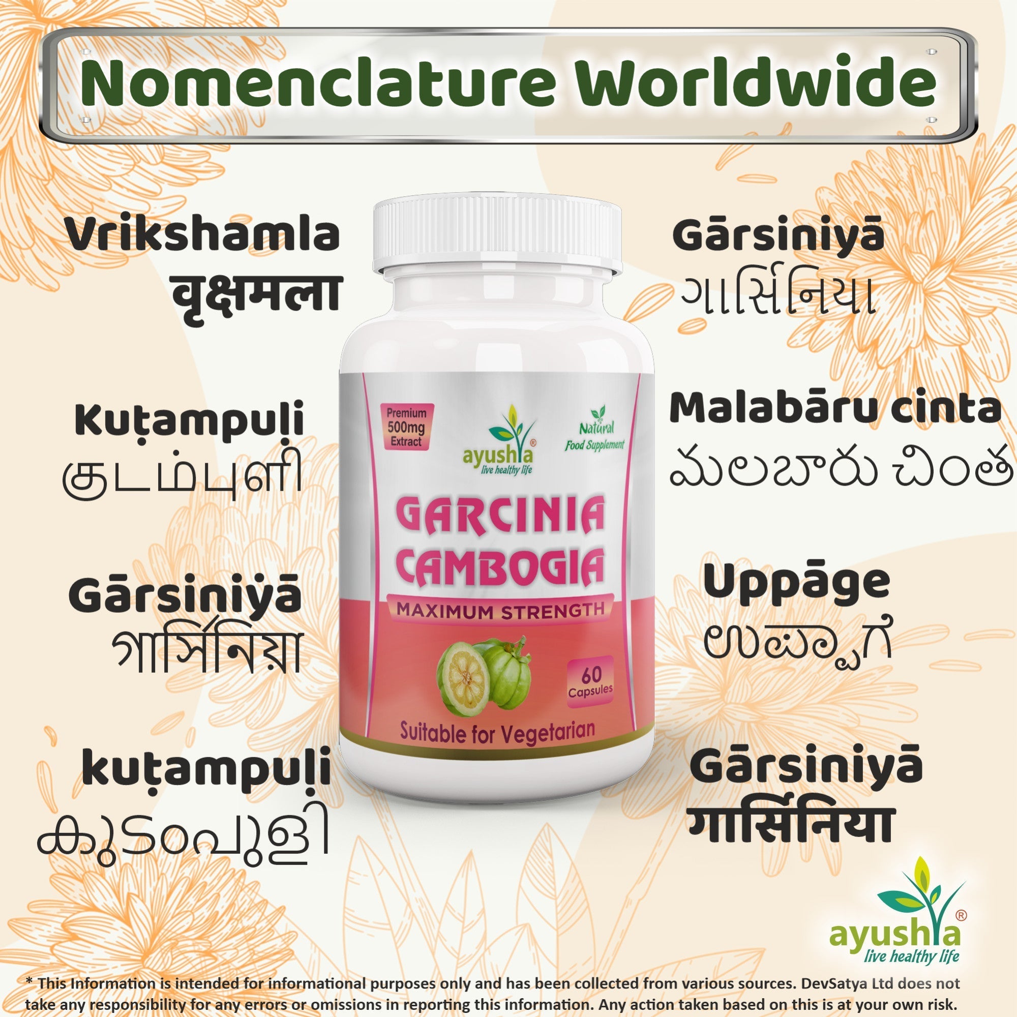 Ayushya Garcinia Cambogia Capsules (Malabar Tamarind) Healthy Weight Support - Vegan, Gluten Free, Non-GMO, 60 Capsules-3
