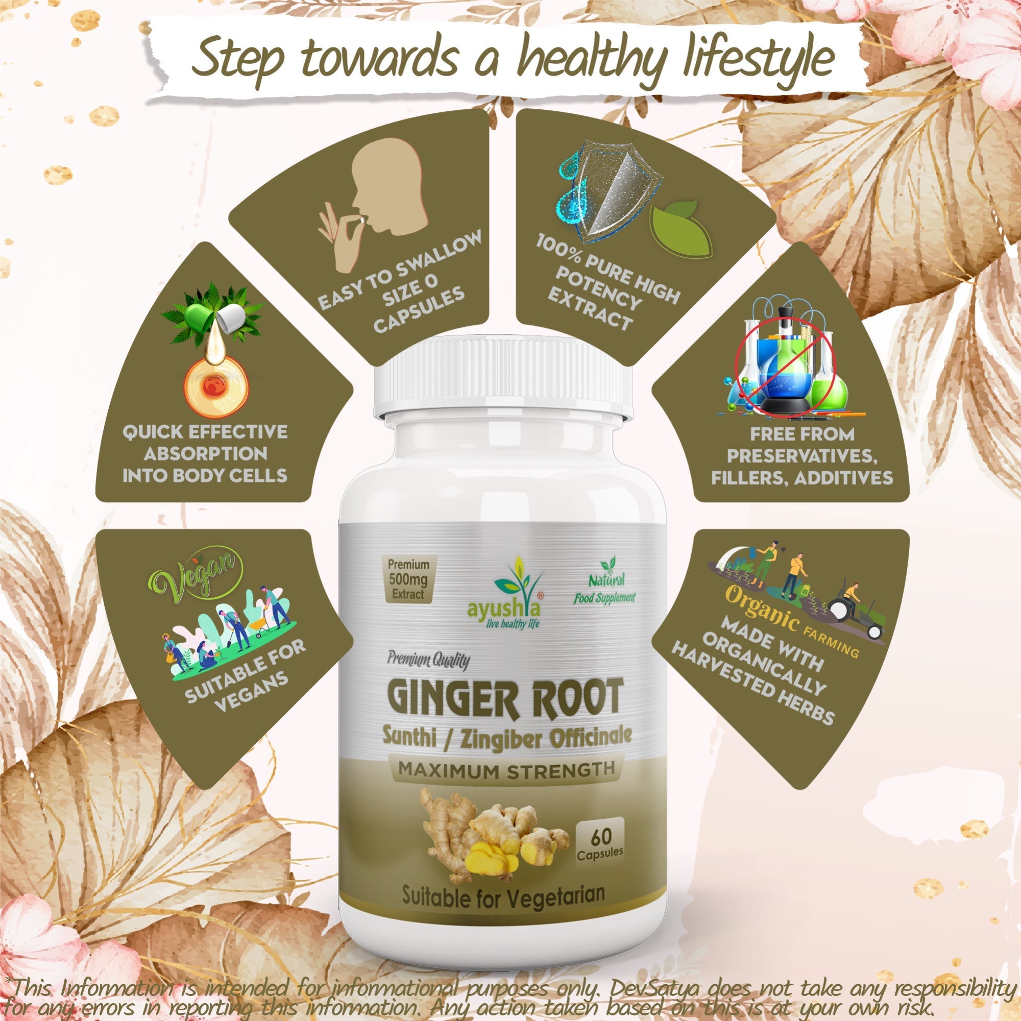 Ayushya Ginger Capsules (Adrak, Sunthi) Digestive Comfort Support - Vegan, Gluten Free, Non-GMO, 60 Capsules-4