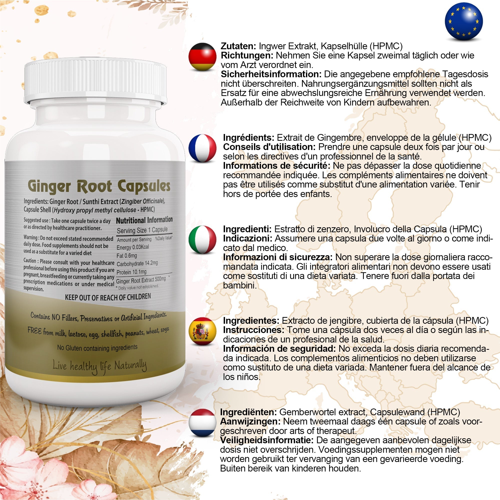 Ayushya Ginger Capsules (Adrak, Sunthi) Digestive Comfort Support - Vegan, Gluten Free, Non-GMO, 60 Capsules-1