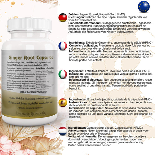 Ayushya Ginger Capsules (Adrak, Sunthi) Digestive Comfort Support - Vegan, Gluten Free, Non-GMO, 60 Capsules-1