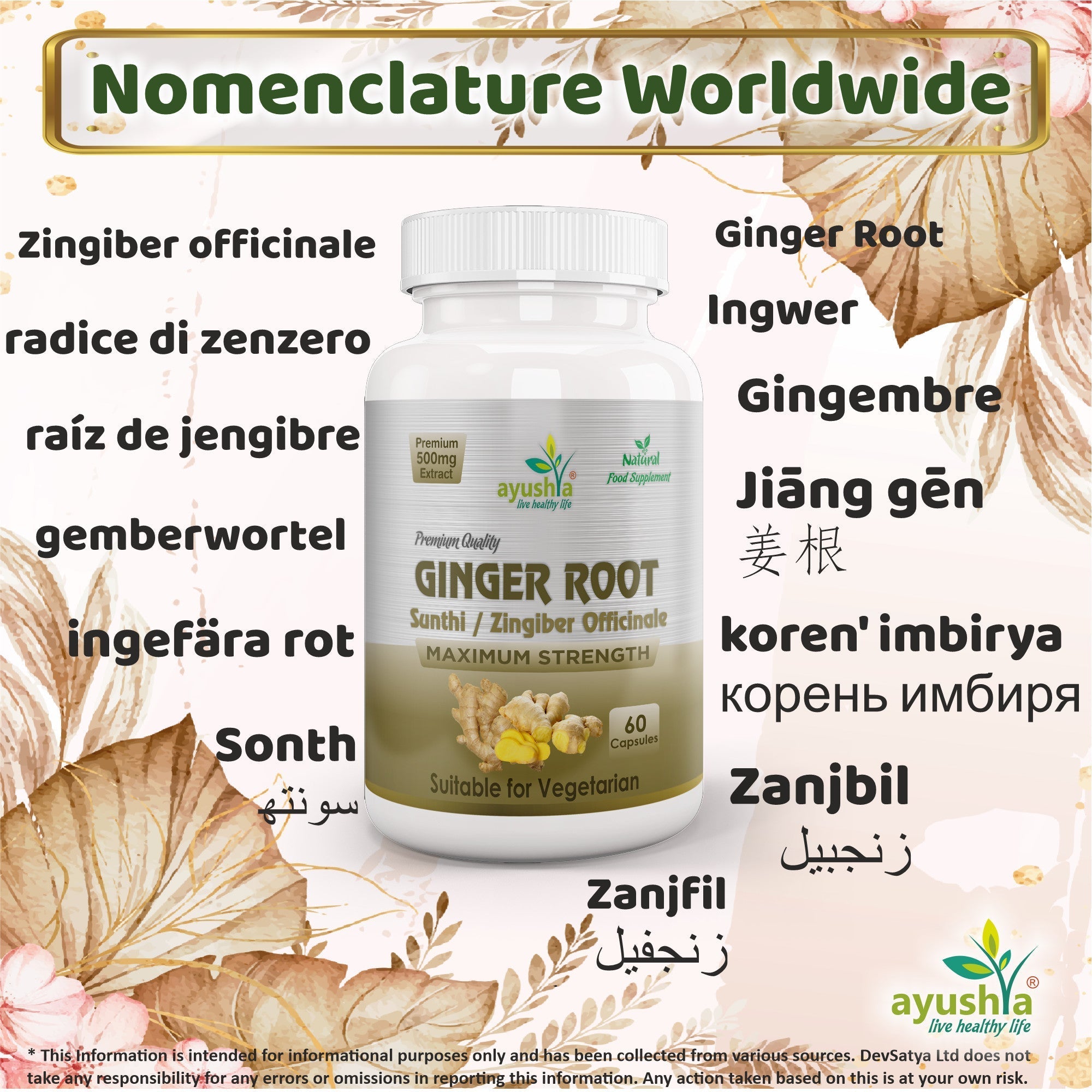 Ayushya Ginger Capsules (Adrak, Sunthi) Digestive Comfort Support - Vegan, Gluten Free, Non-GMO, 60 Capsules-2