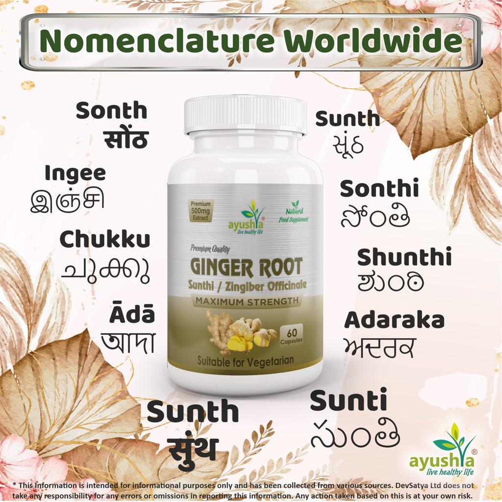 Ayushya Ginger Capsules (Adrak, Sunthi) Digestive Comfort Support - Vegan, Gluten Free, Non-GMO, 60 Capsules-3