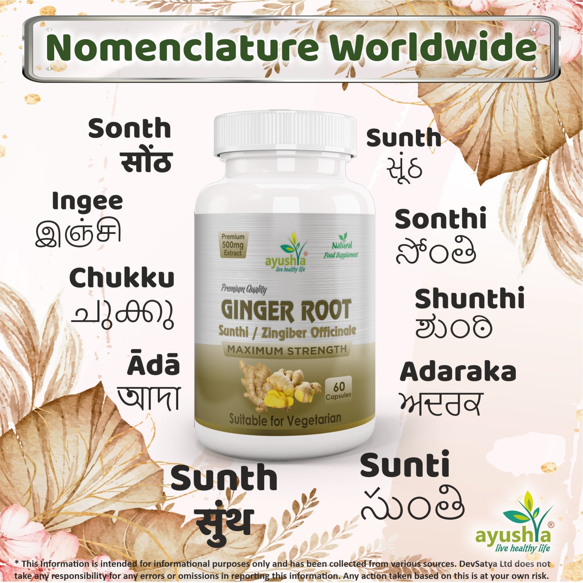 Ayushya Ginger Capsules (Adrak, Sunthi) Digestive Comfort Support - Vegan, Gluten Free, Non-GMO, 60 Capsules-3