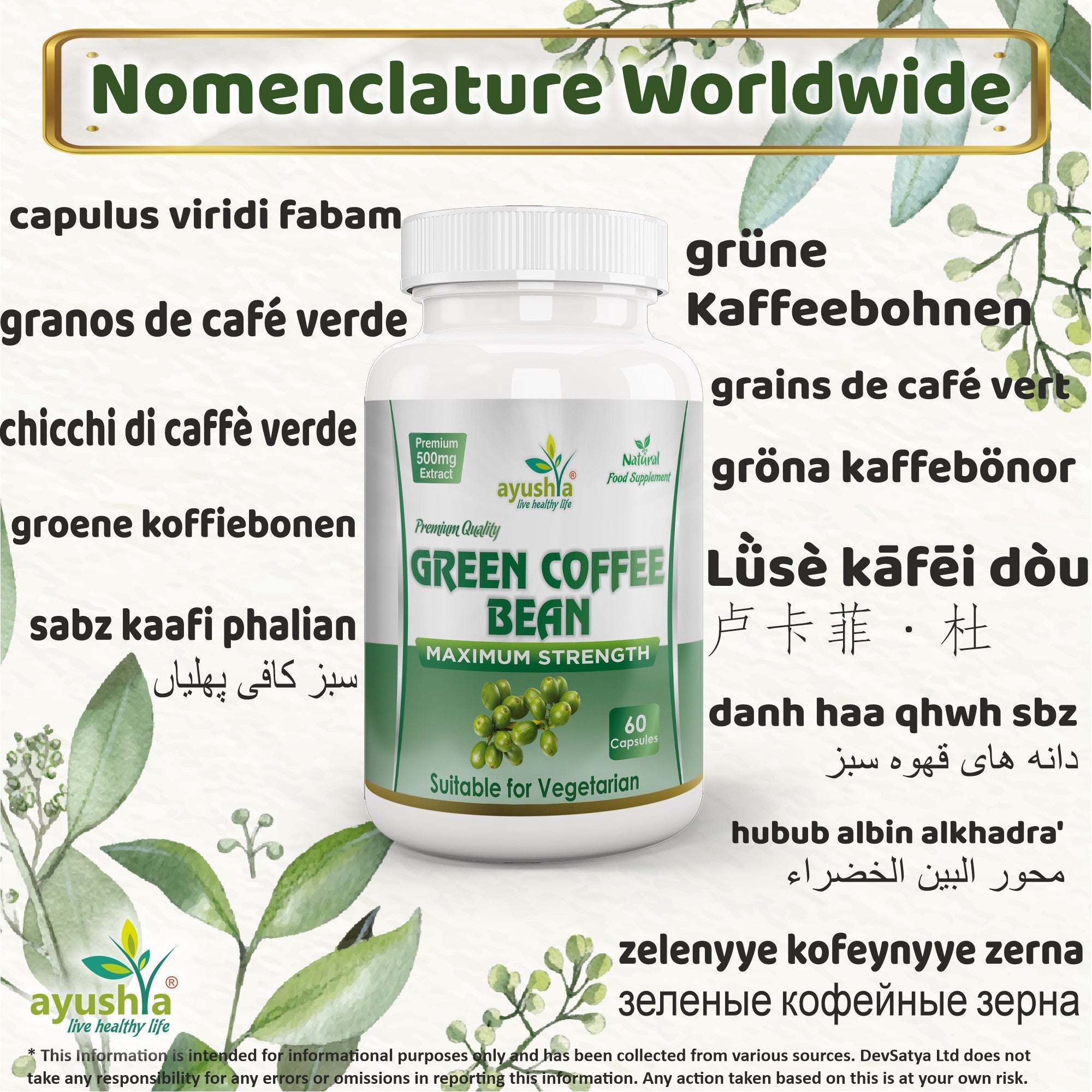 Ayushya Green Coffee Bean Capsules Energy & Antioxidant Support - Vegan, Gluten Free, Non-GMO, 60 Capsules-2
