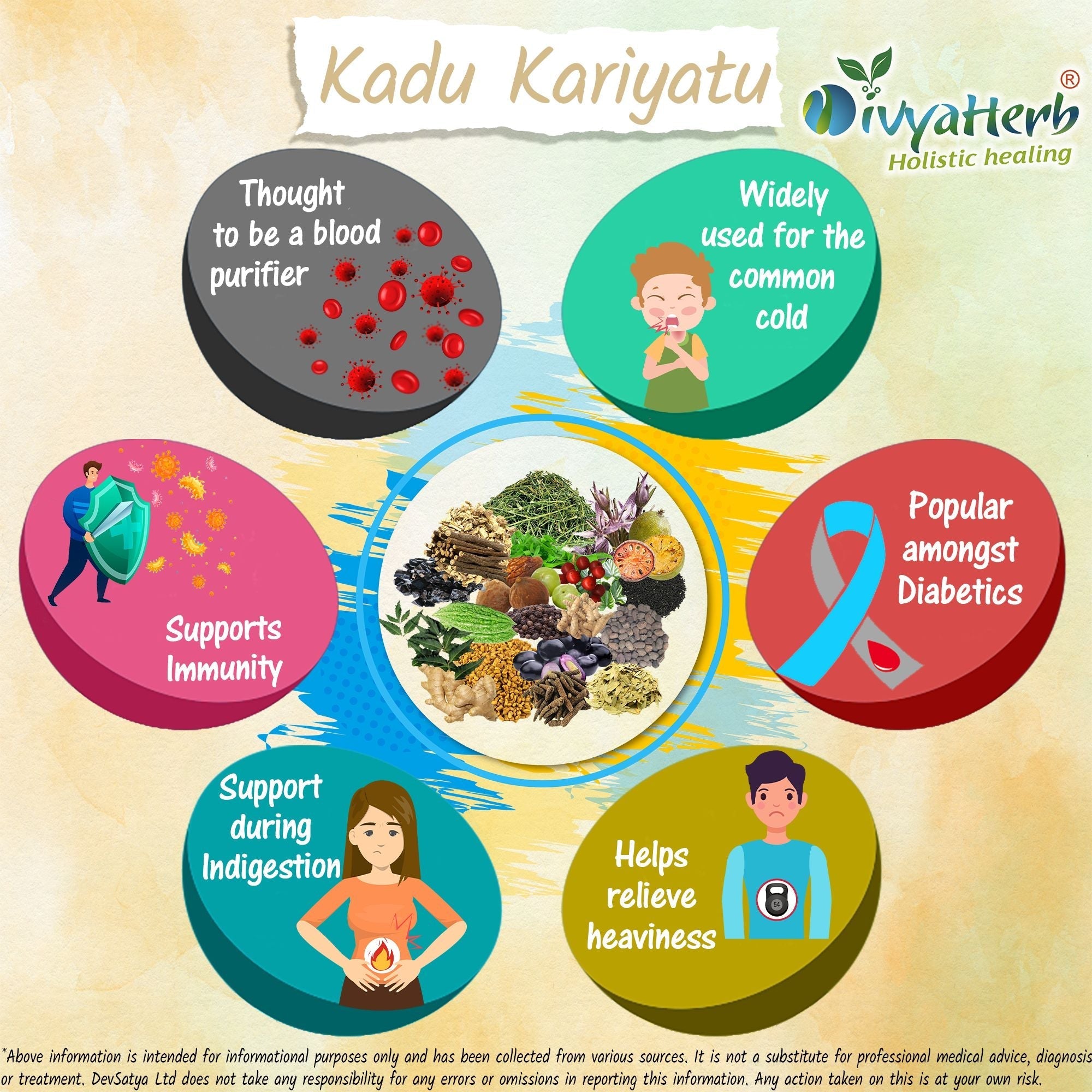 DivyaHerb Kadu Kariyatu Powder 100 gram - Daily Wellness Support-3