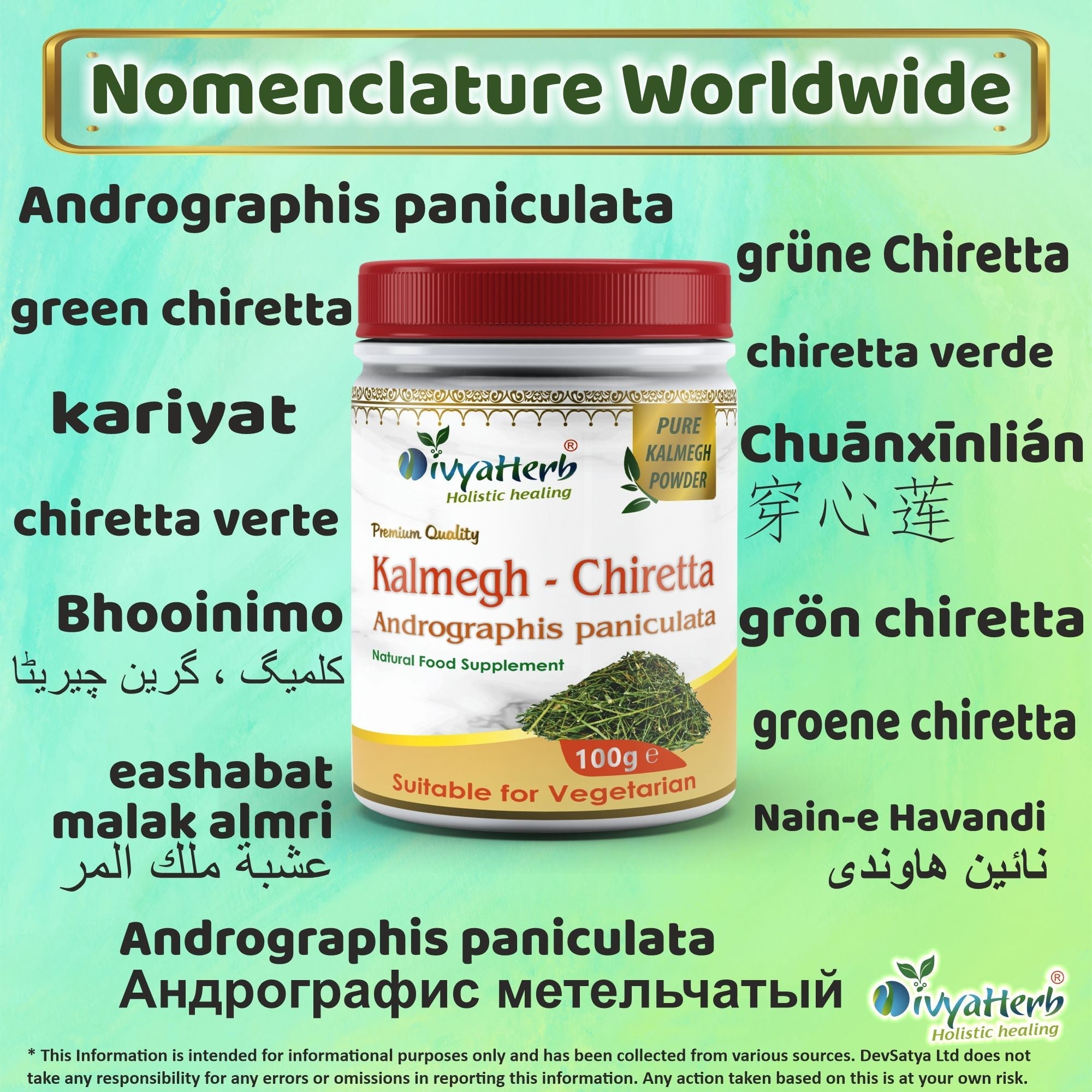 DivyaHerb Kalmegh Powder 100 gram - Daily Wellness Support-2