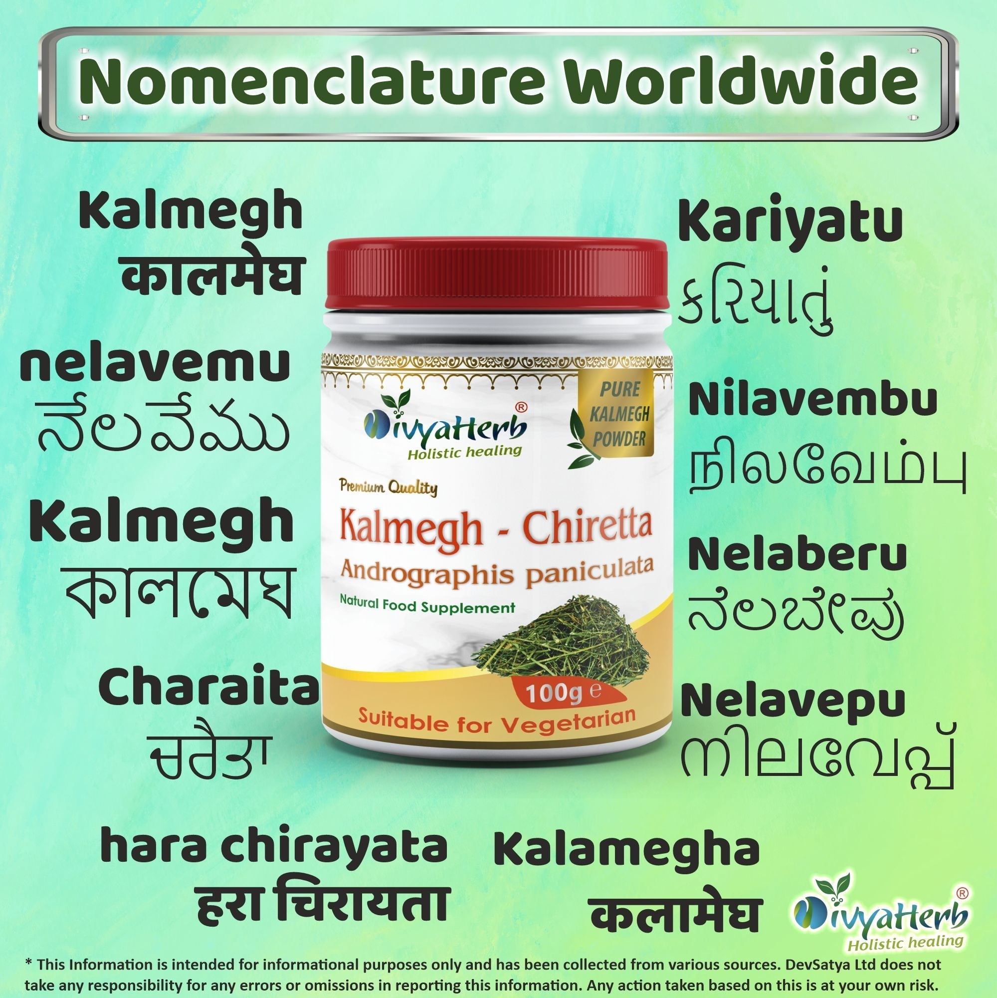 DivyaHerb Kalmegh Powder 100 gram - Daily Wellness Support-3