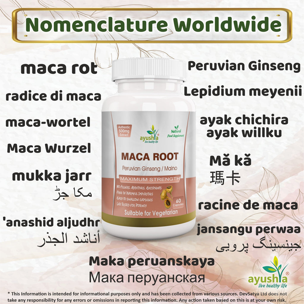 Ayushya Maca Root Capsules (Peruvian Ginseng) Energy & Stamina Support - Vegan, Gluten Free, Non-GMO, 60 Capsules-2