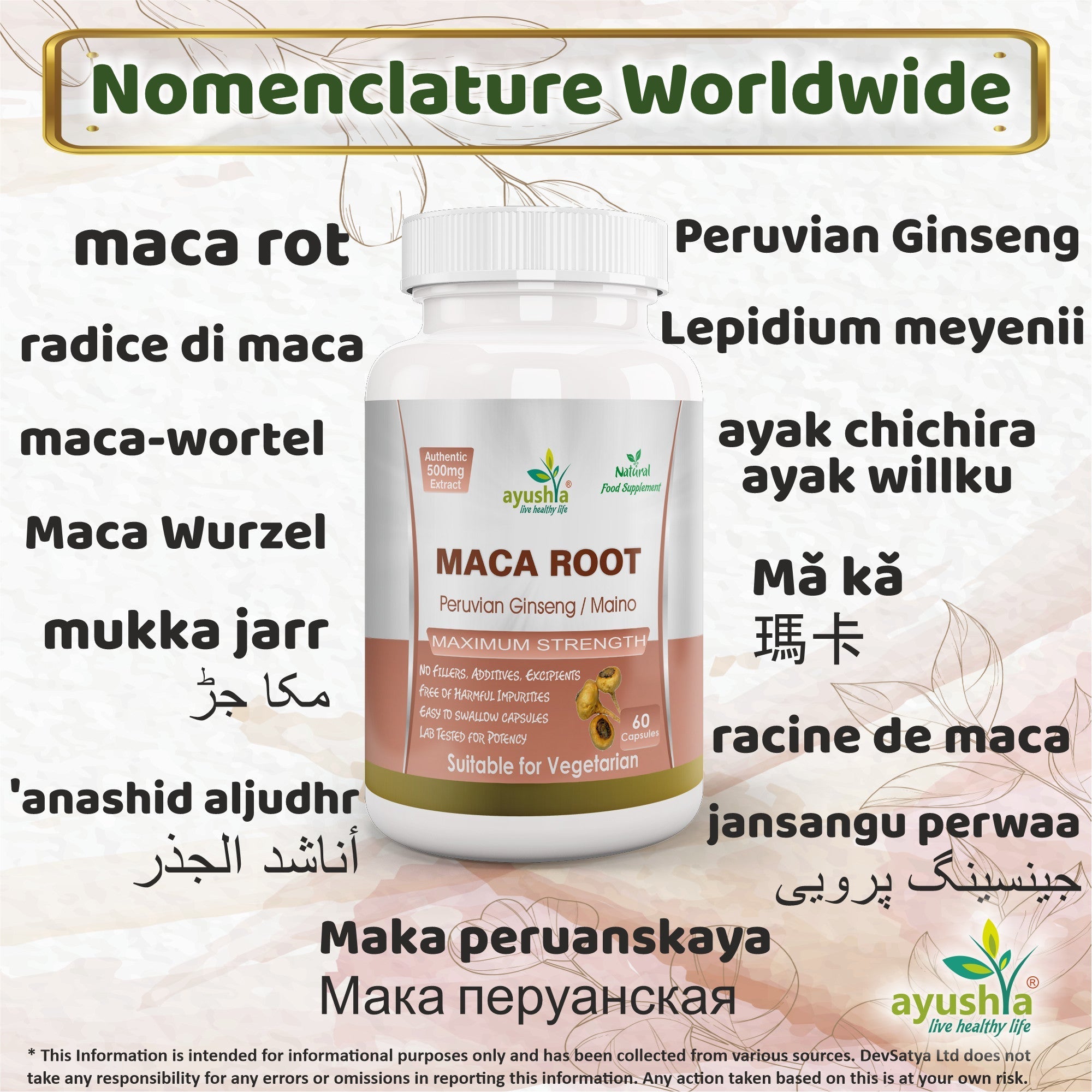 Ayushya Maca Root Capsules (Peruvian Ginseng) Energy & Stamina Support - Vegan, Gluten Free, Non-GMO, 60 Capsules-2