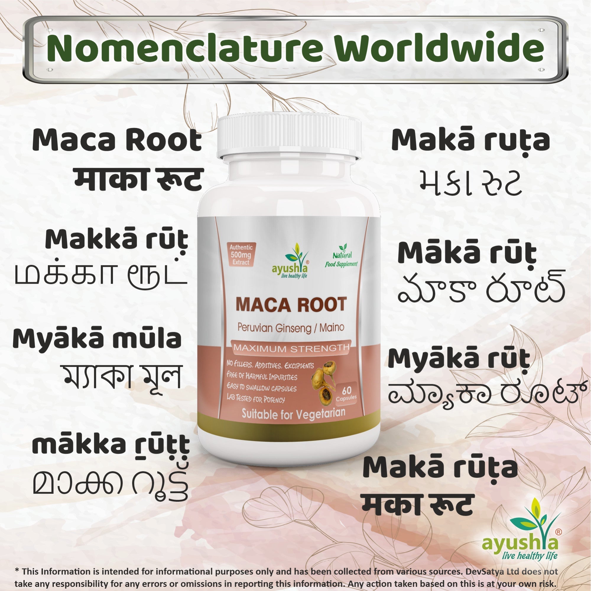 Ayushya Maca Root Capsules (Peruvian Ginseng) Energy & Stamina Support - Vegan, Gluten Free, Non-GMO, 60 Capsules-3
