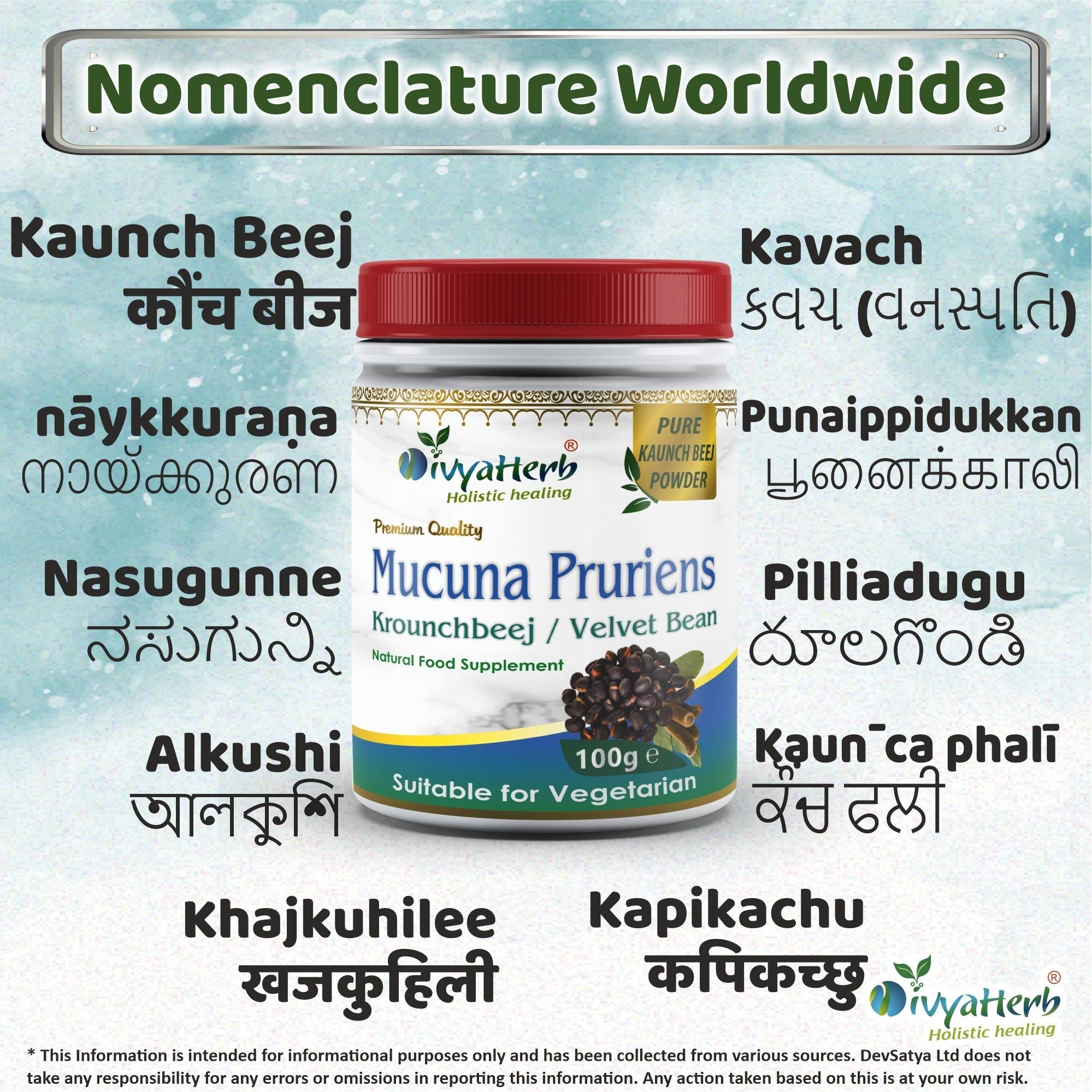 DivyaHerb Mucuna Pruriens Powder 100 gram - Daily Vitality Support-3