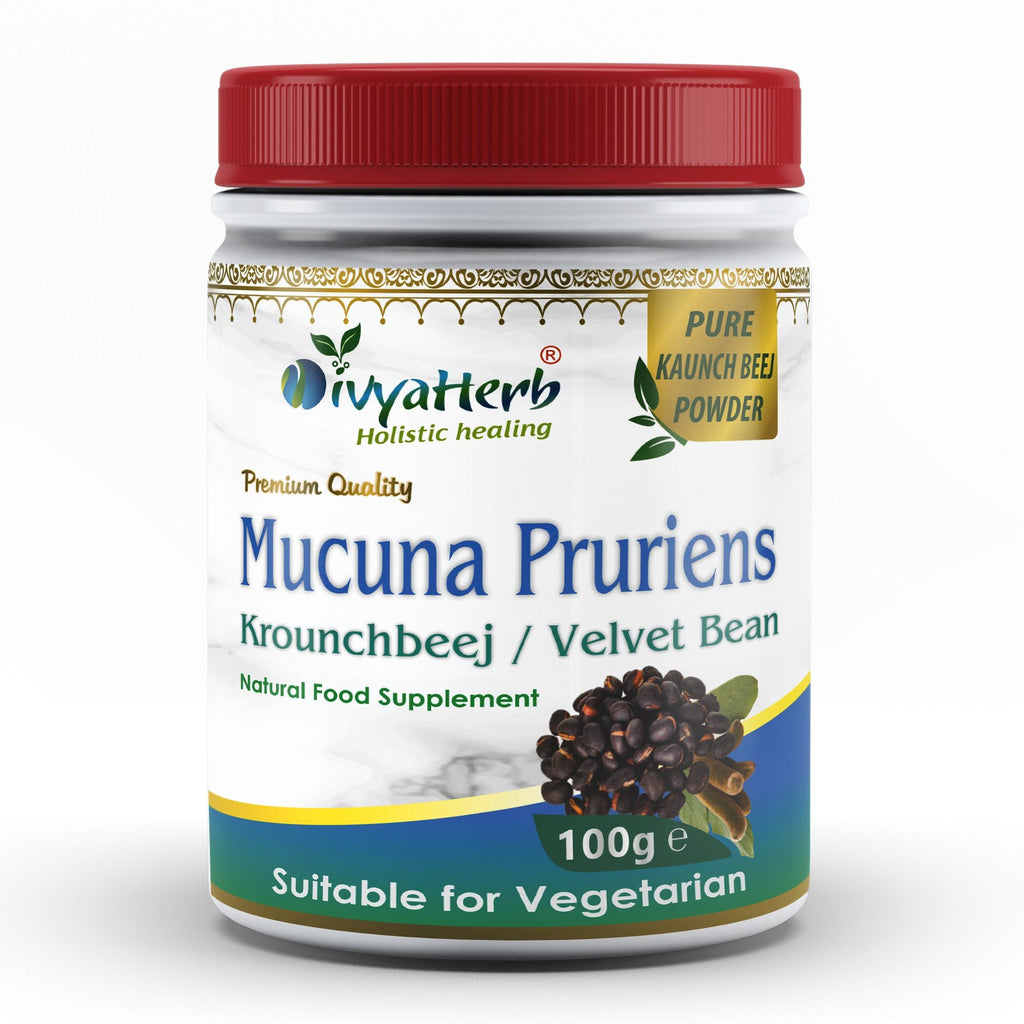 DivyaHerb Mucuna Pruriens Powder 100 gram - Daily Vitality Support-0
