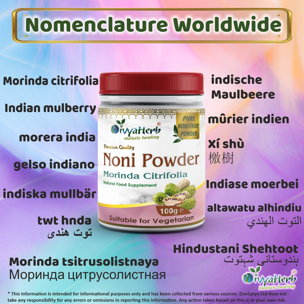 DivyaHerb Noni Powder 100 gram - Daily Wellness Support-2