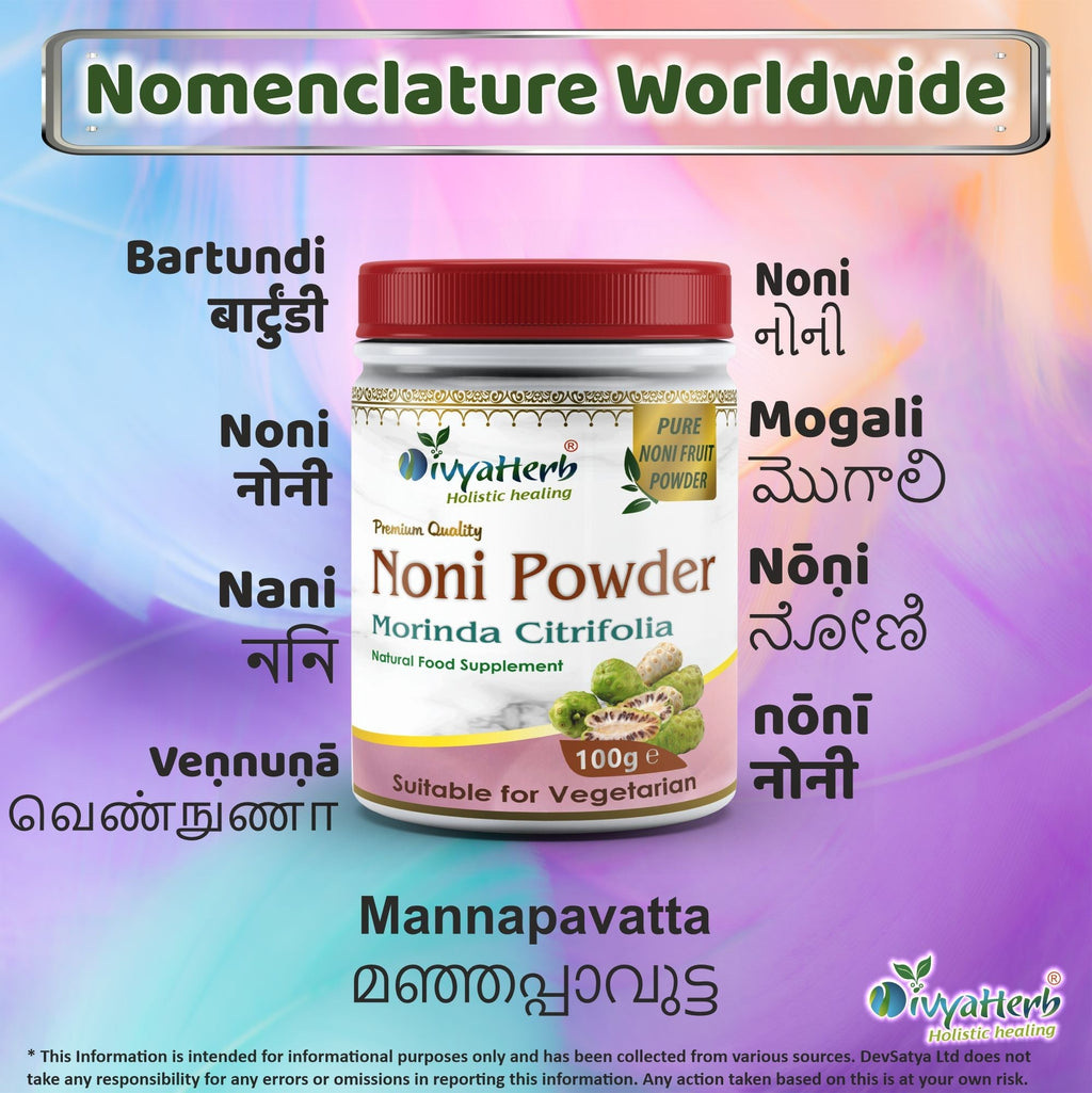 DivyaHerb Noni Powder 100 gram - Daily Wellness Support-3