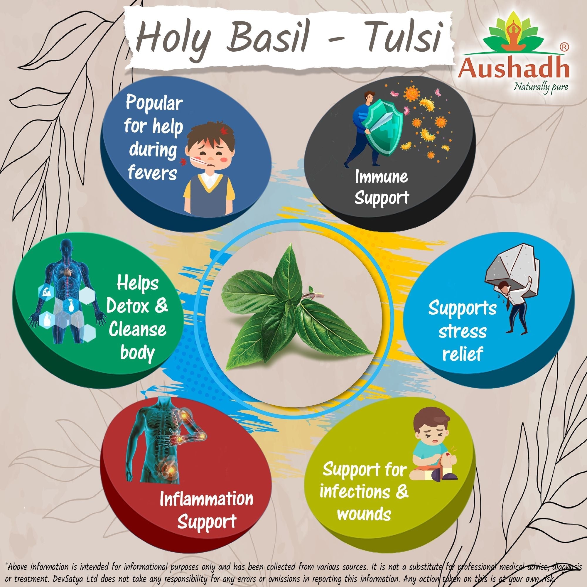 Tulsi Drops 30mL-4