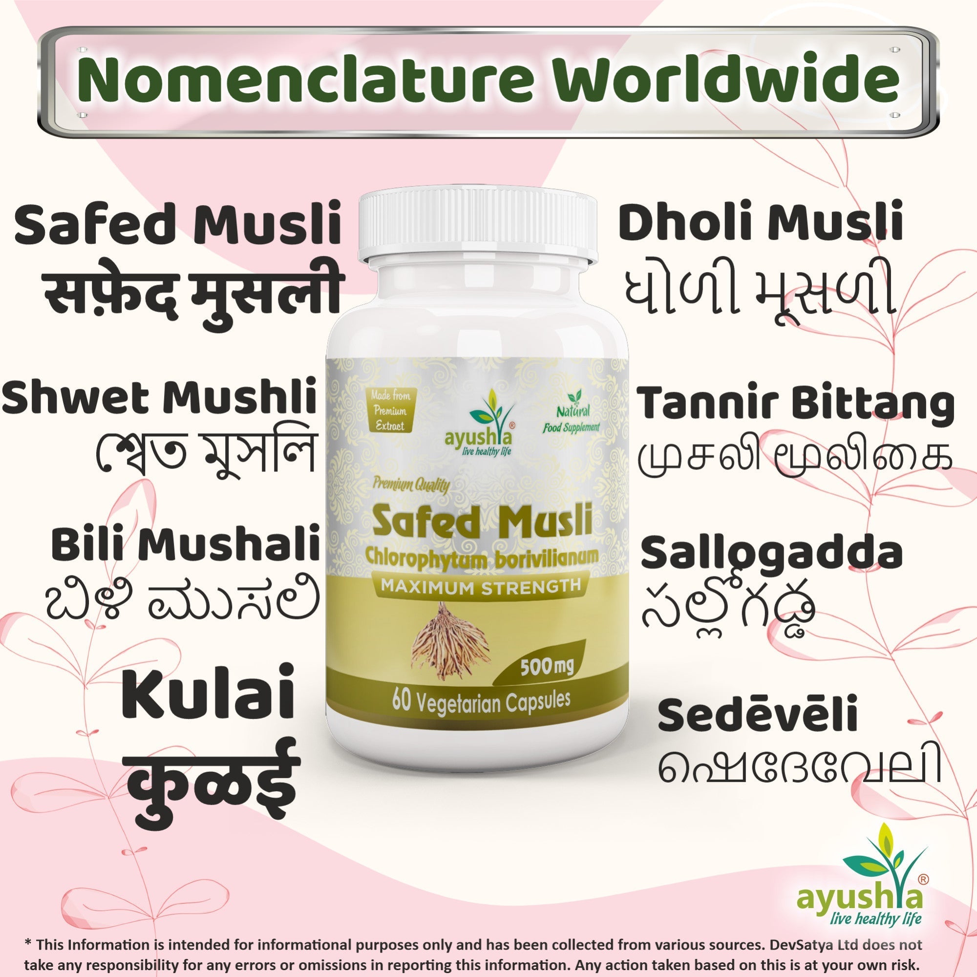 Ayushya Safed Musli Capsules (Chlorophytum Borivilianum) Strength & Stamina Support - Vegan, Gluten Free, Non-GMO, 60 Capsules-3