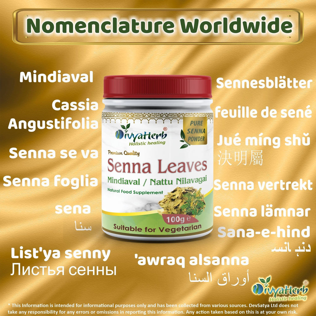 DivyaHerb Senna Leaves Powder 100 gram - Bowel Regularity Support-2