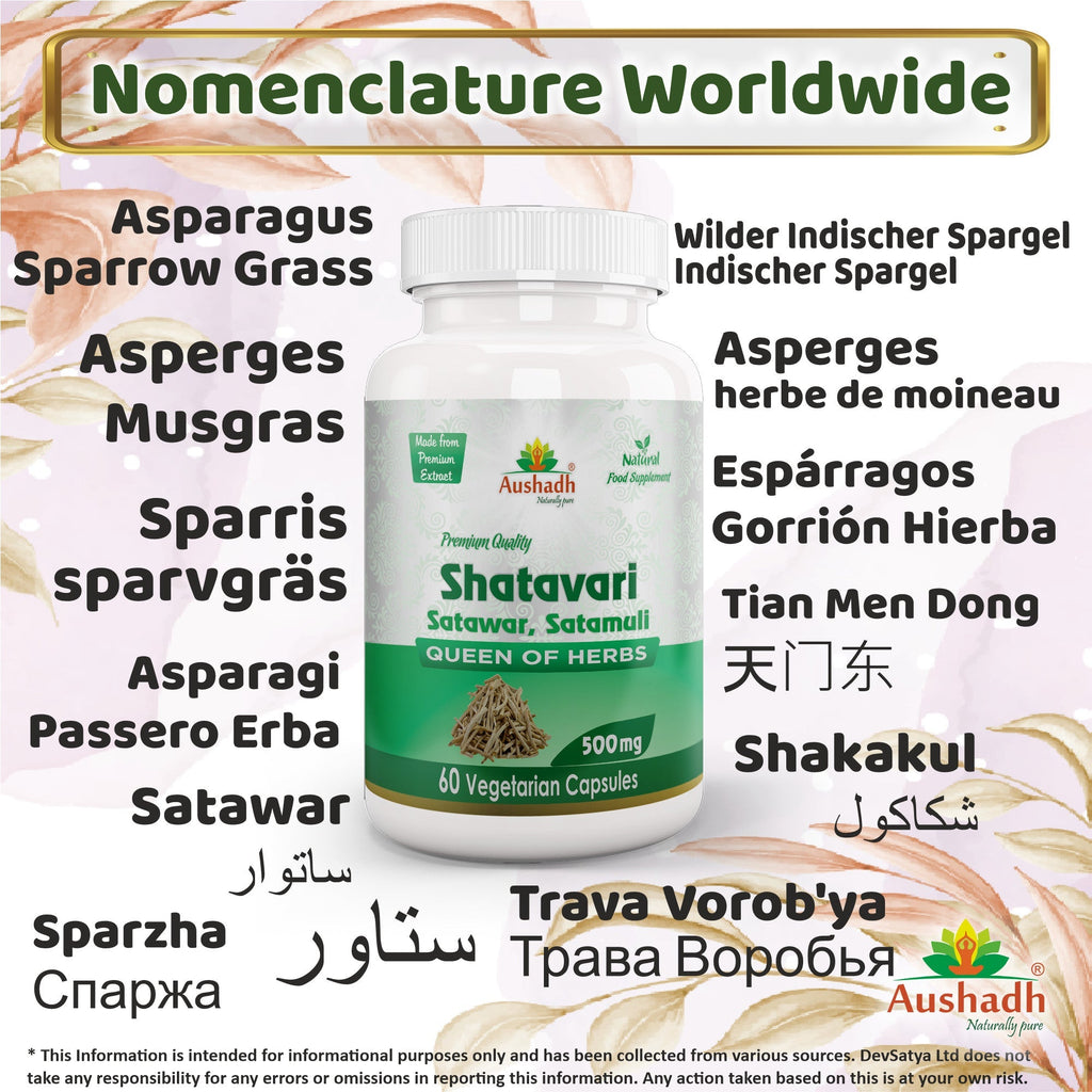 Aushadh Shatavari Capsules (Wild Asparagus) Women’s Wellness Support - Vegan, Gluten Free, Non-GMO, 60 Capsules-2