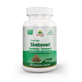 Aushadh Shatavari Capsules (Wild Asparagus) Women’s Wellness Support - Vegan, Gluten Free, Non-GMO, 60 Capsules-0