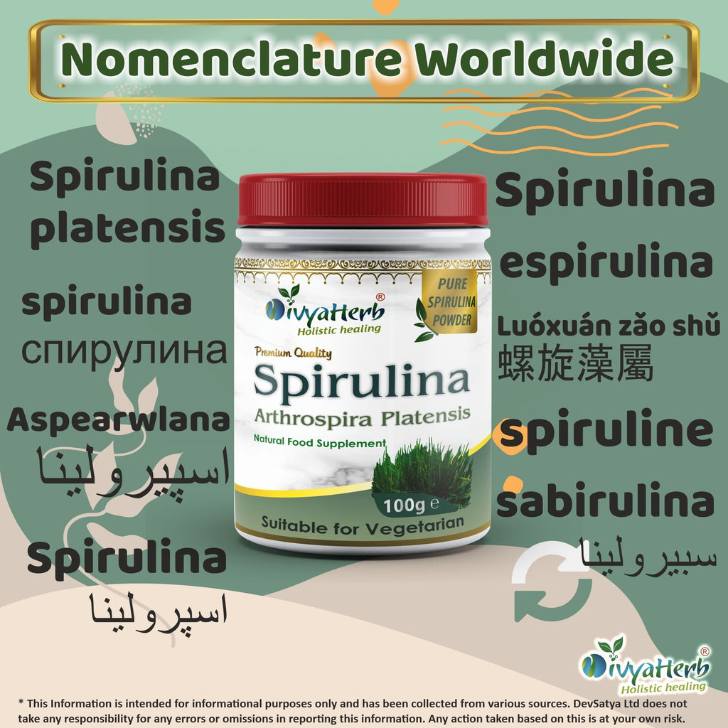 DivyaHerb Spirulina Powder 100 gram - Daily Vitality Support-2
