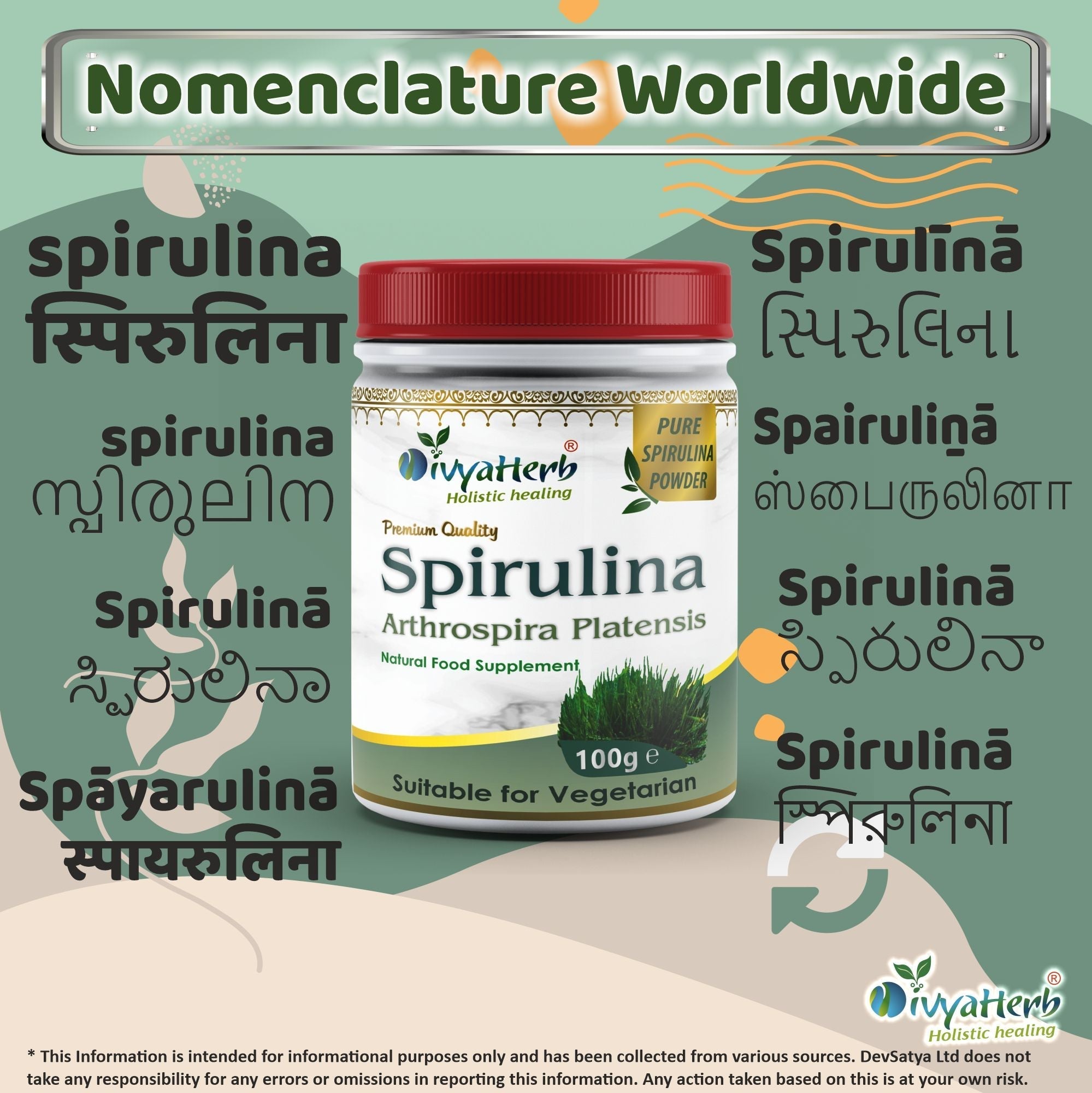 DivyaHerb Spirulina Powder 100 gram - Daily Vitality Support-3