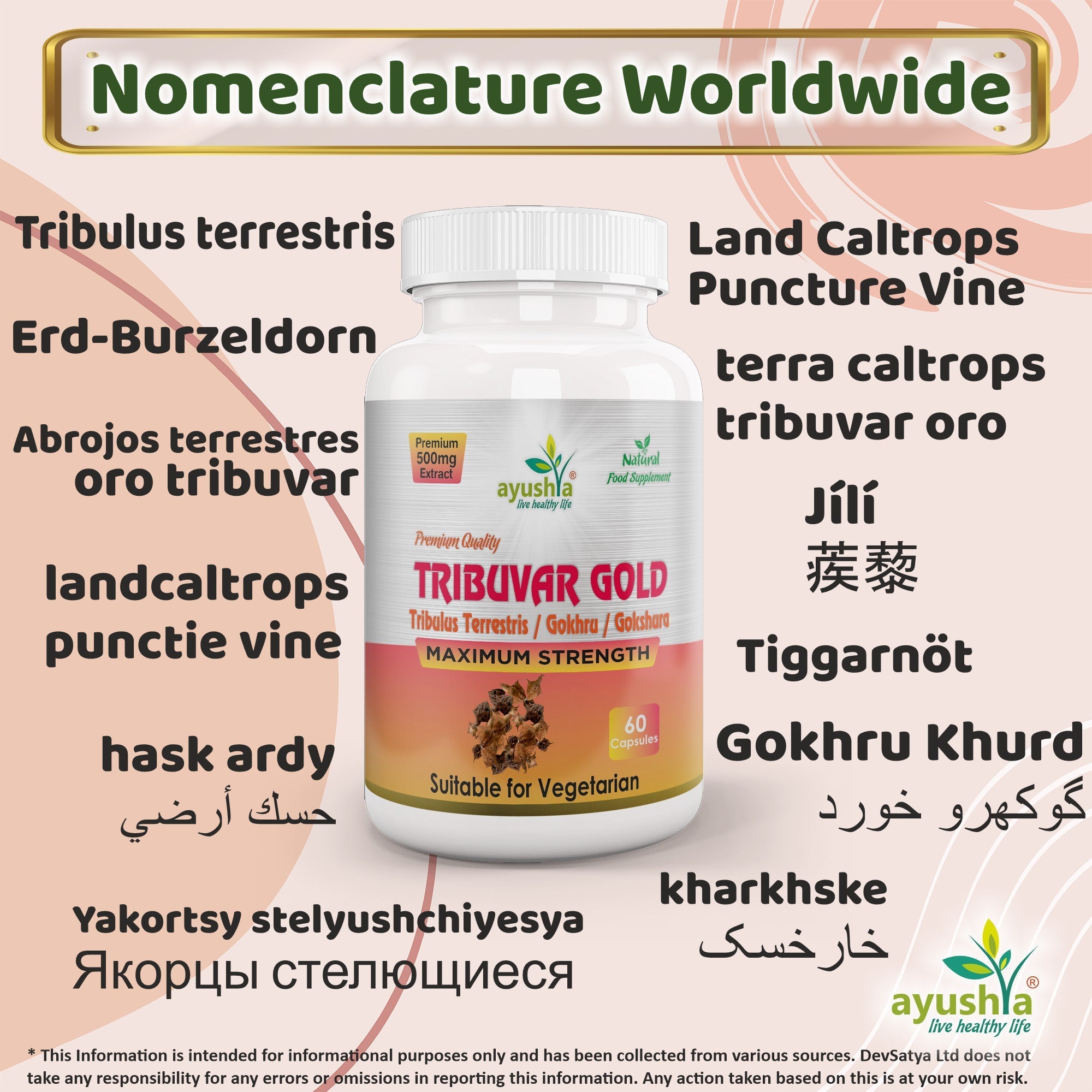 Ayushya Tribuvar Gold (Tribulus Terrestris) Capsules (Gokshura, Gokhru) Vitality & Urinary Wellness Support - Vegan, Gluten Free, Non-GMO, 60 Capsules-2
