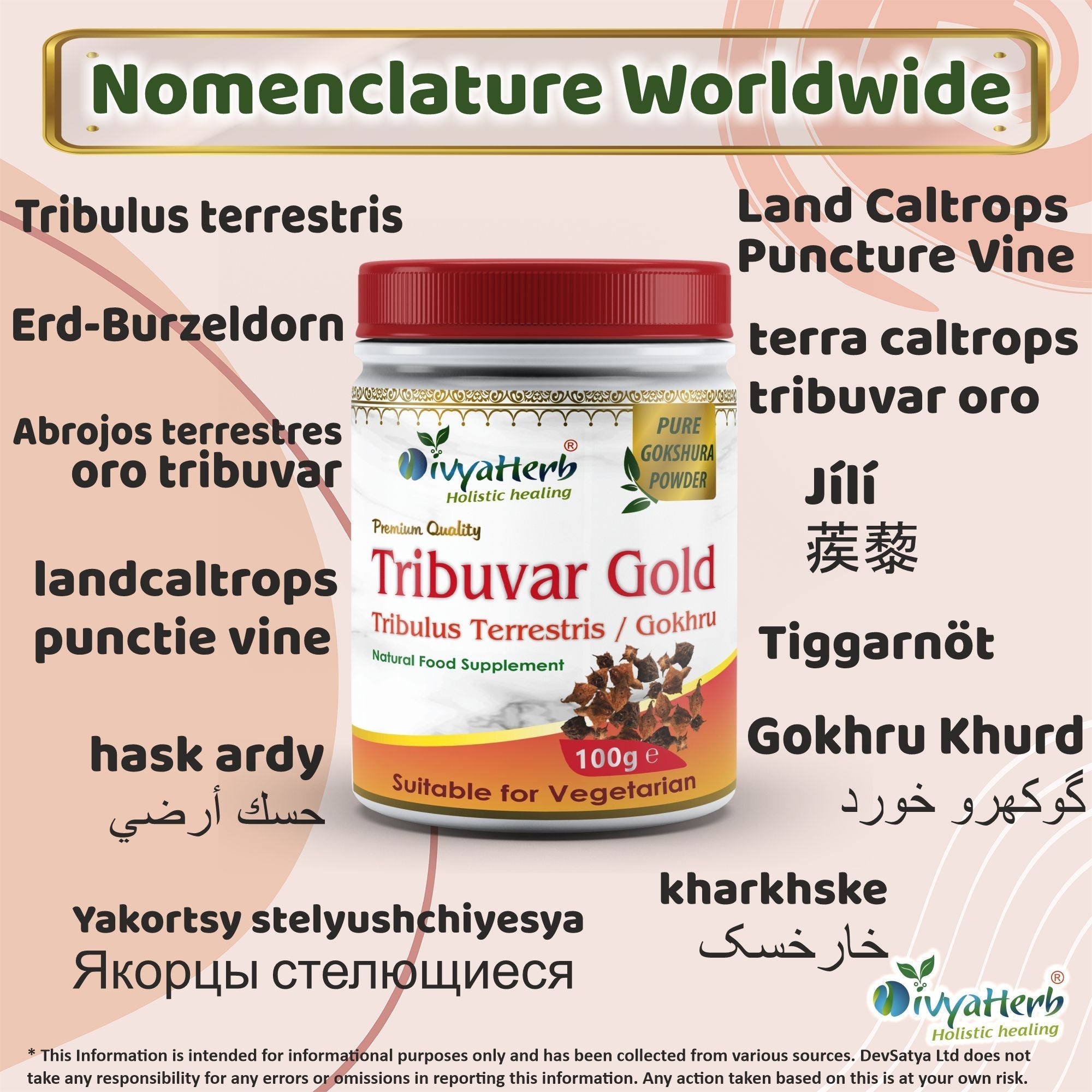 DivyaHerb Gokshura / Tribuvar Powder 100 gram - Natural Herbal Wellness-2