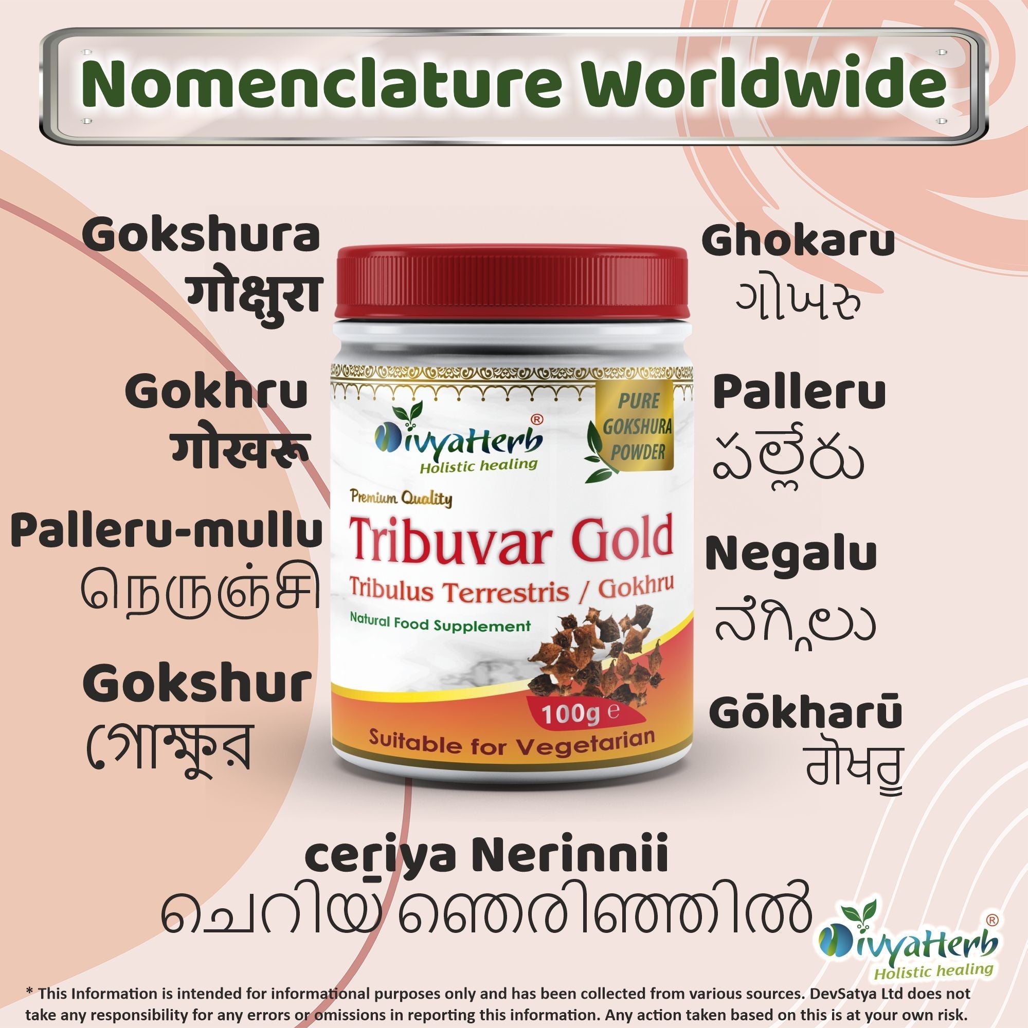 DivyaHerb Gokshura / Tribuvar Powder 100 gram - Natural Herbal Wellness-3