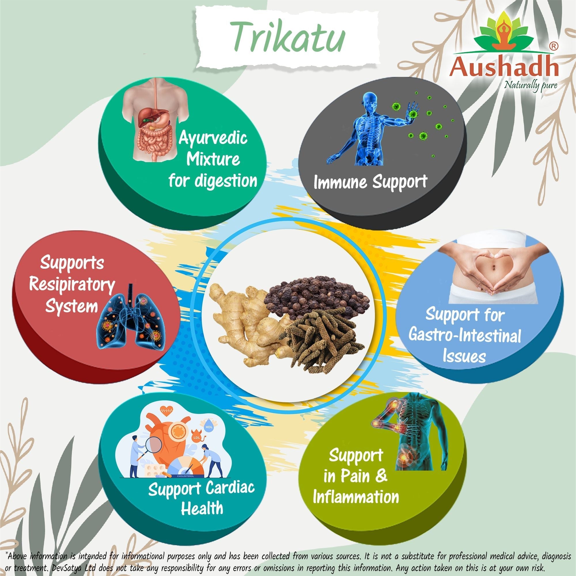 Aushadh Trikatu Powder 100 gram - Digestive Comfort Support-3