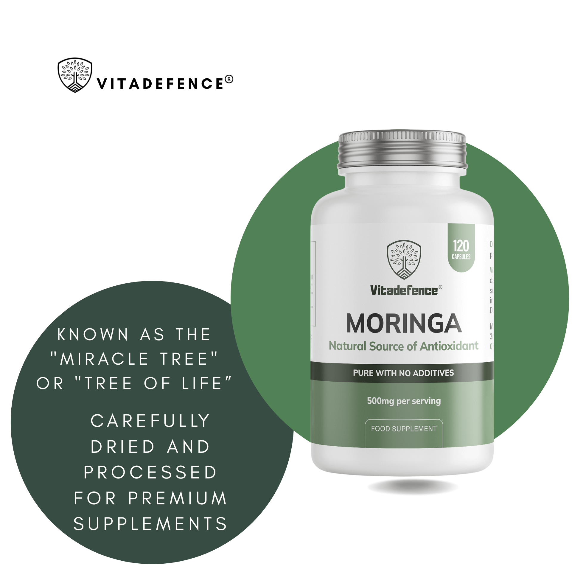 Moringa Oleifera | 500 mg Vegan Capsules – 120 Count-4