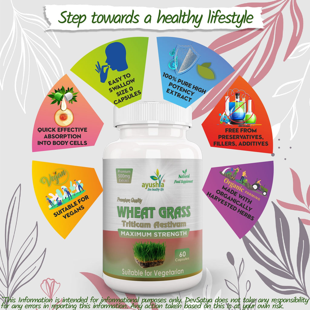 Ayushya Wheat Grass Capsules (Wheatgrass) Daily Greens & Antioxidant Support - Vegan, Gluten Free, Non-GMO, 60 Capsules-4
