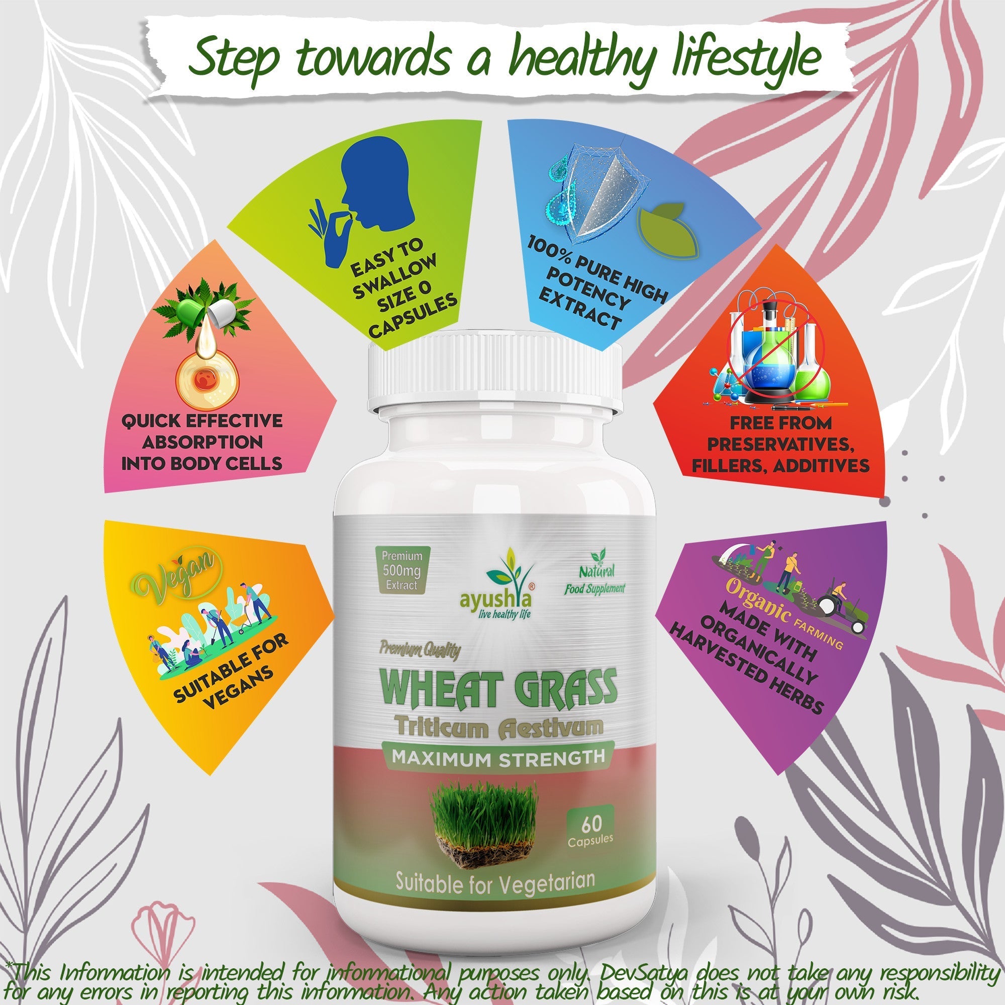 Ayushya Wheat Grass Capsules (Wheatgrass) Daily Greens & Antioxidant Support - Vegan, Gluten Free, Non-GMO, 60 Capsules-4